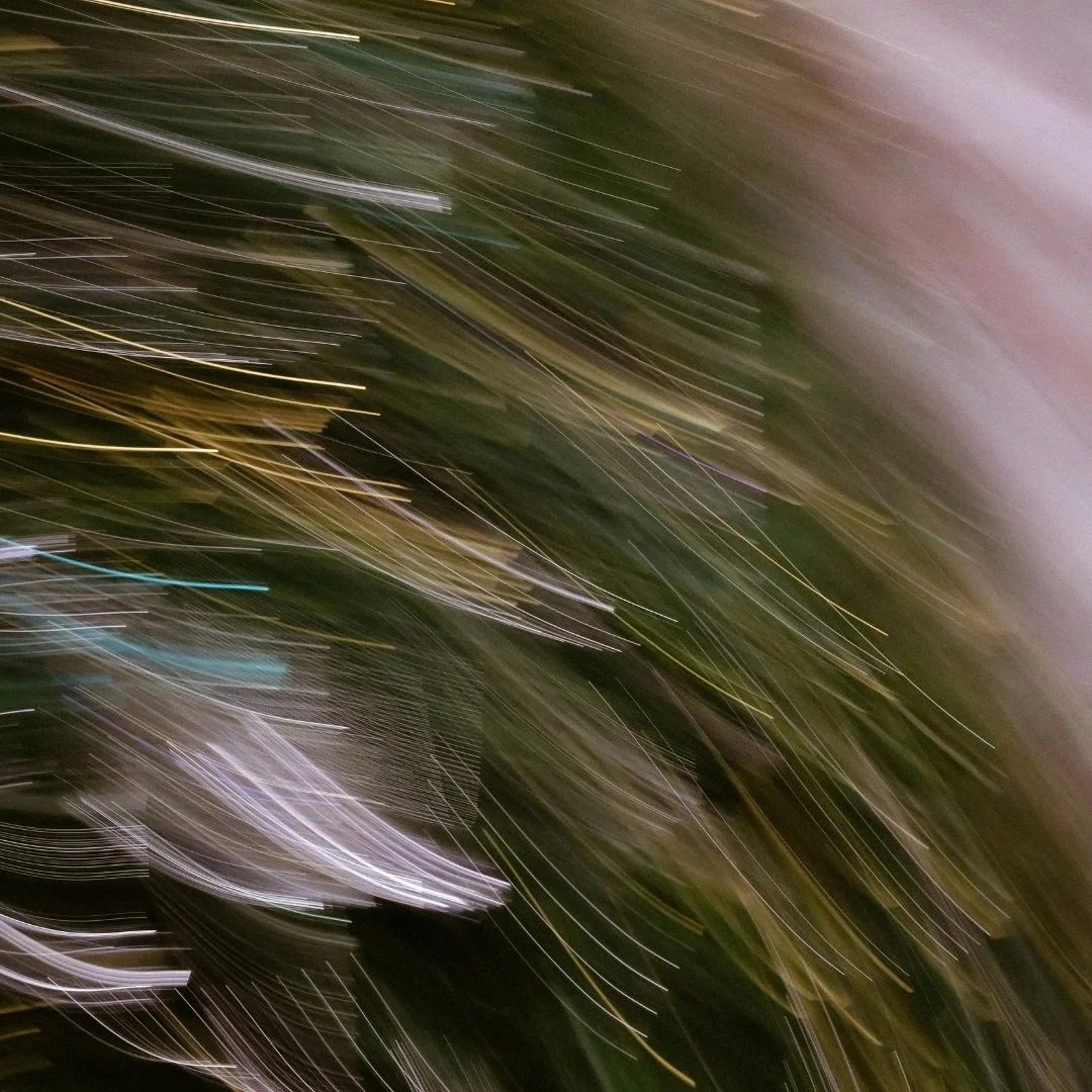 Abstract photo with streaks of light and blurred dark green and black background.