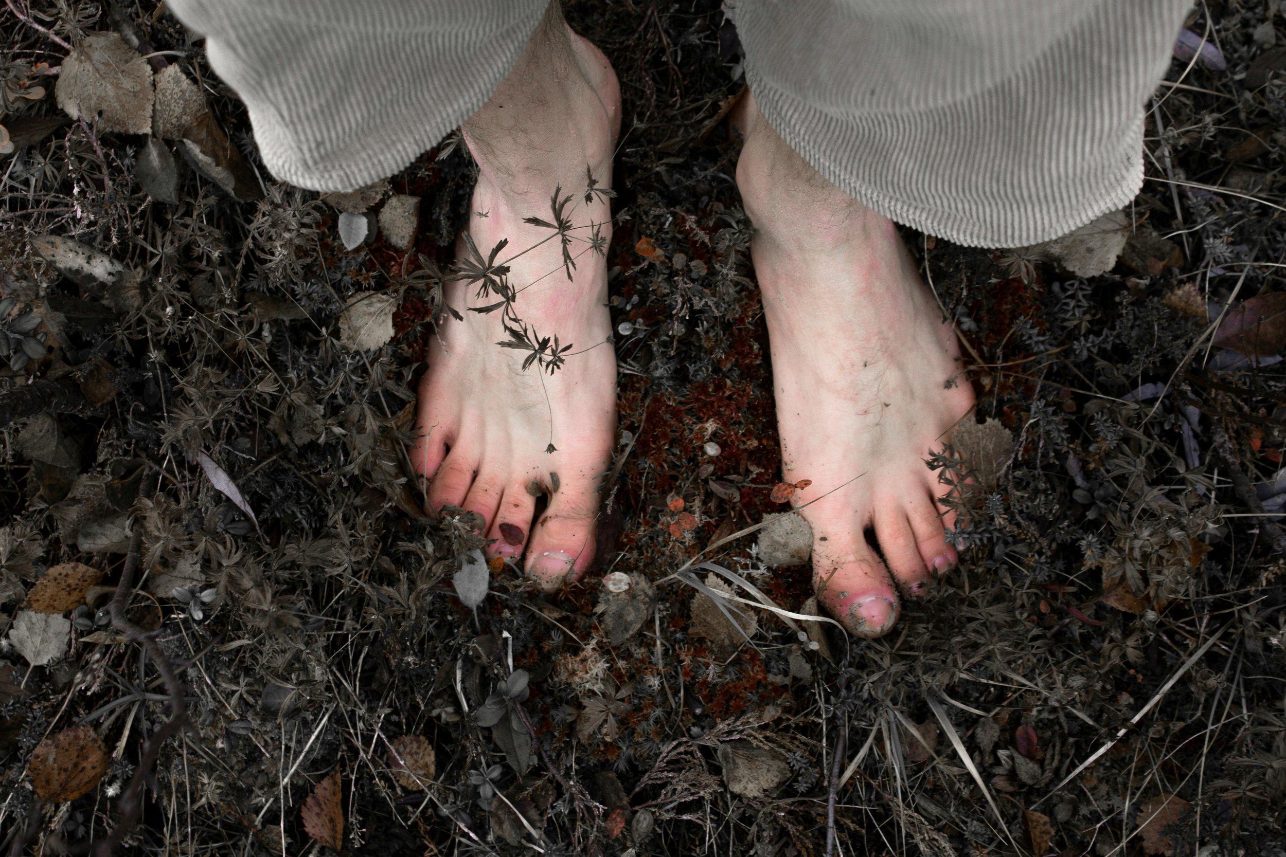 Bare feet standing on dark, dry soil surrounded by dead leaves and sparse plants.