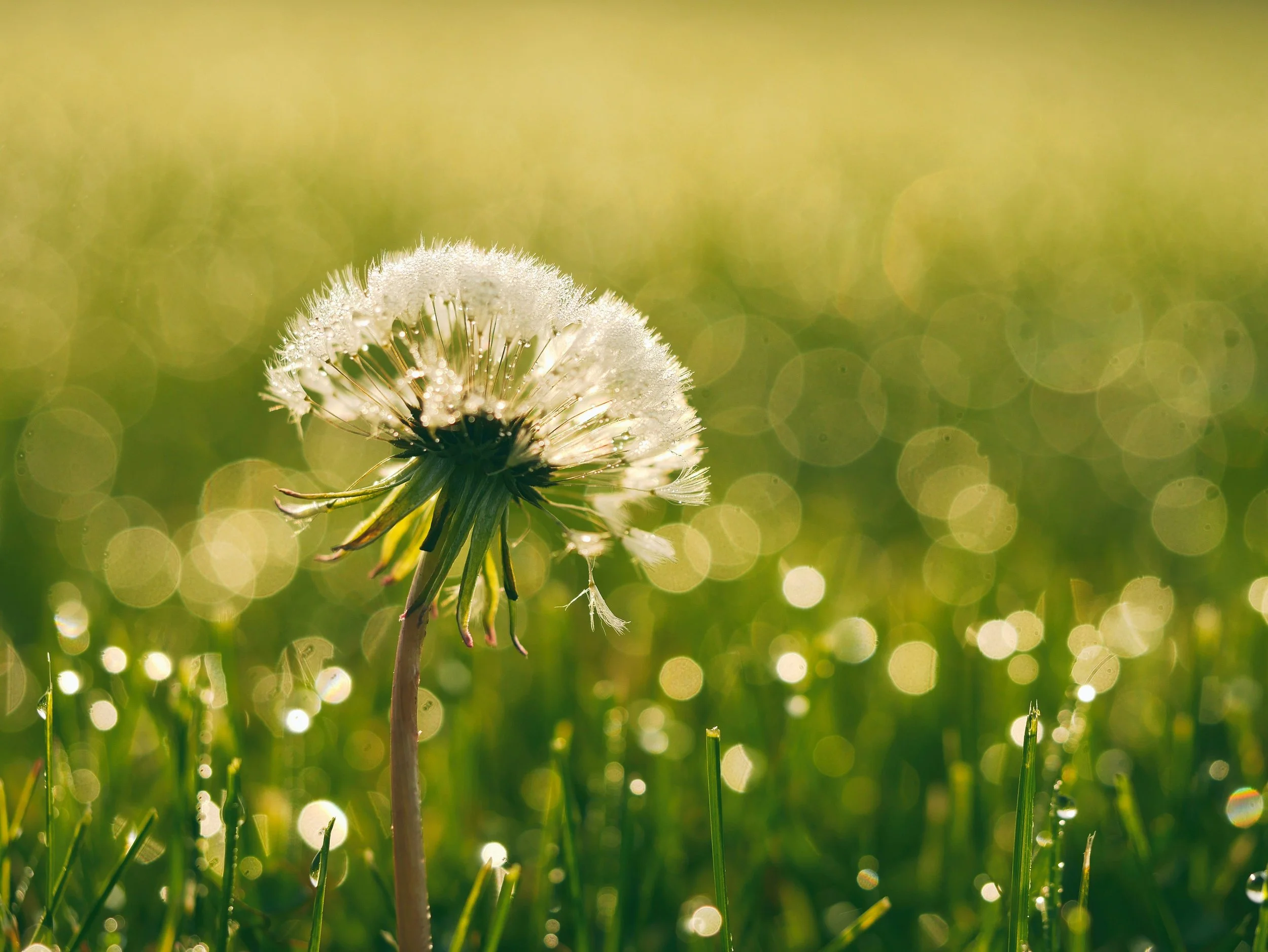 The Real Reason You Lack Confidence in Business