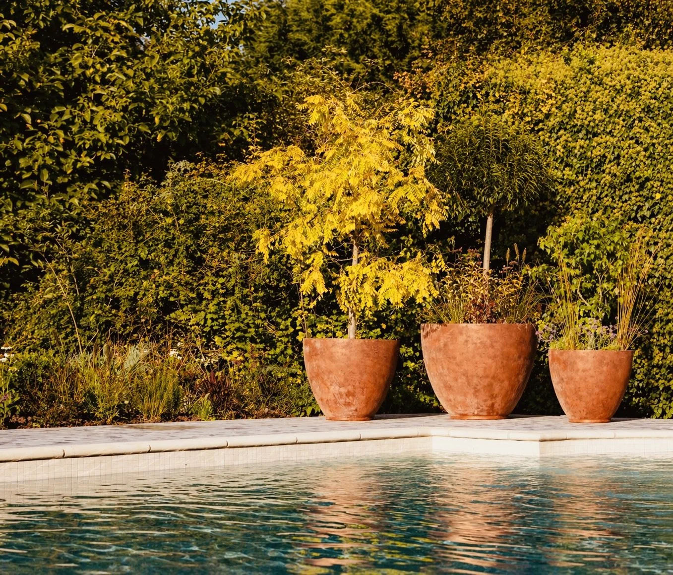 Three large terracotta pots with plants and a small tree on a poolside ledge, with yellow and green bushes in the background.
