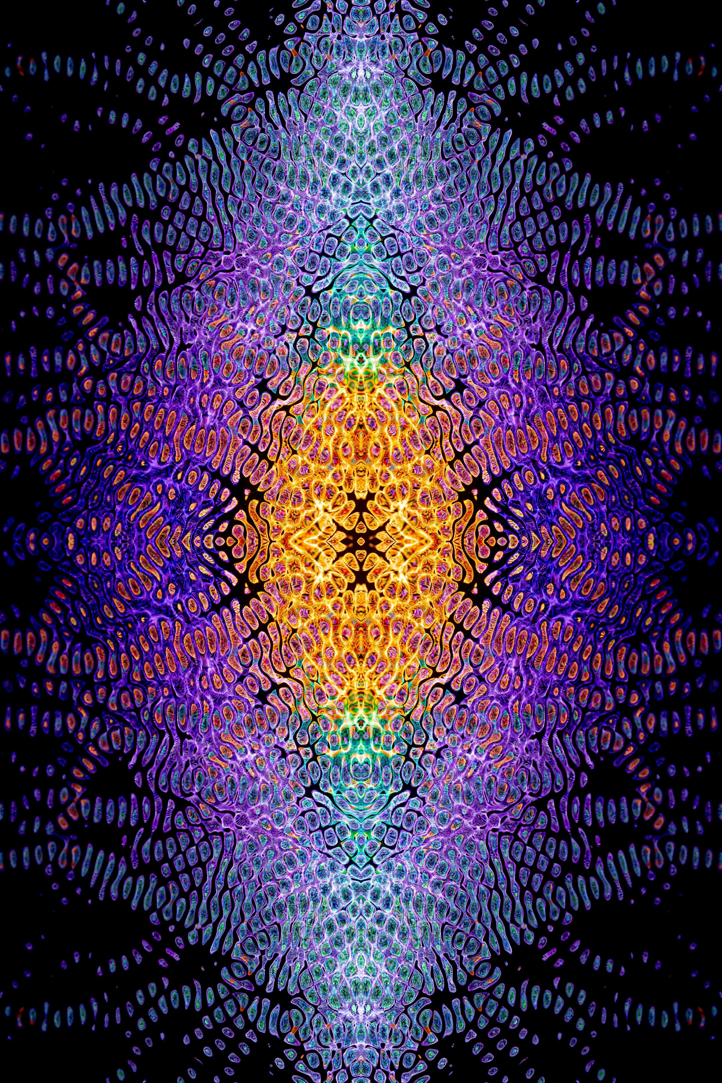 A symmetrical, abstract digital artwork with vibrant, rainbow-colored patterns on a black background. The design features intricate, repeating motifs resembling scales or cellular structures, creating a kaleidoscopic effect.