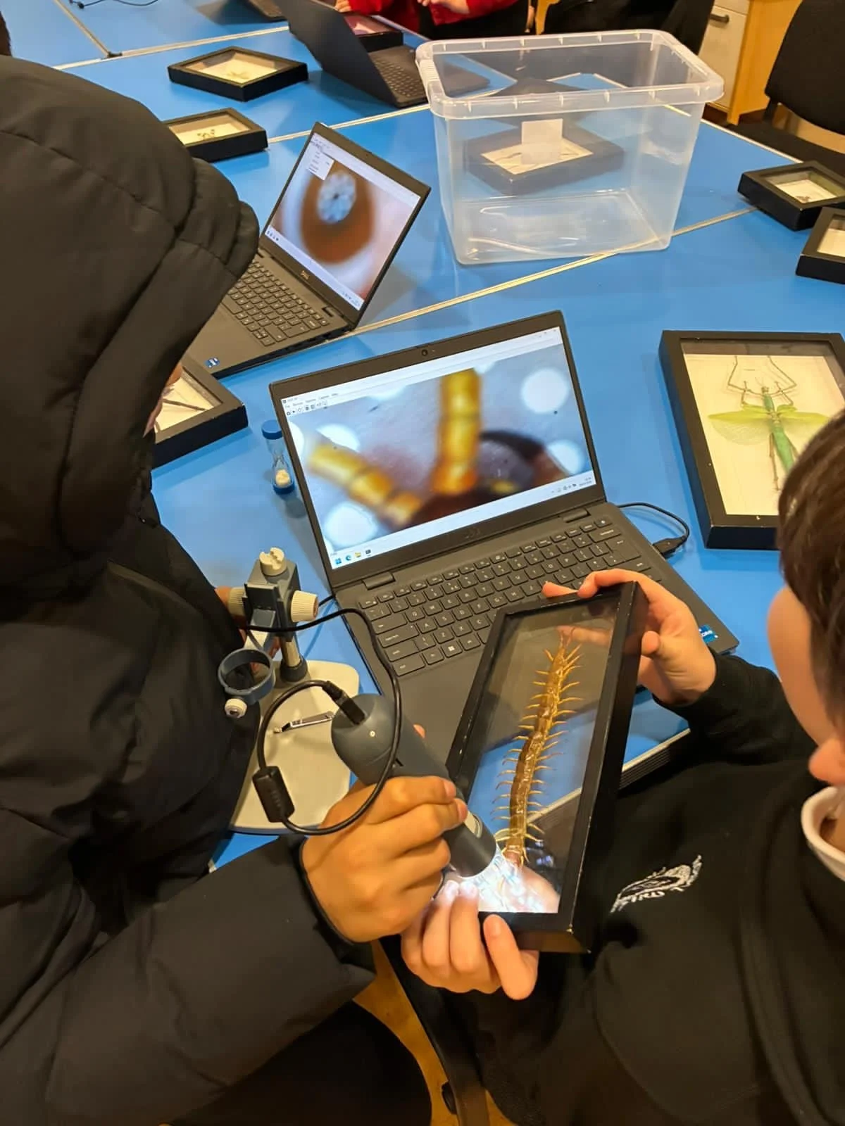 People participating in a classroom activity observing a large centipede on a touchscreen tablet, with microscopes, laptops, and insect display cases on a blue table.