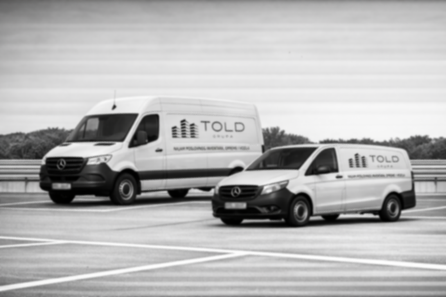 Two white delivery vans with 'TOLD' branding parked on a rooftop parking lot, with trees and cloudy sky in the background.