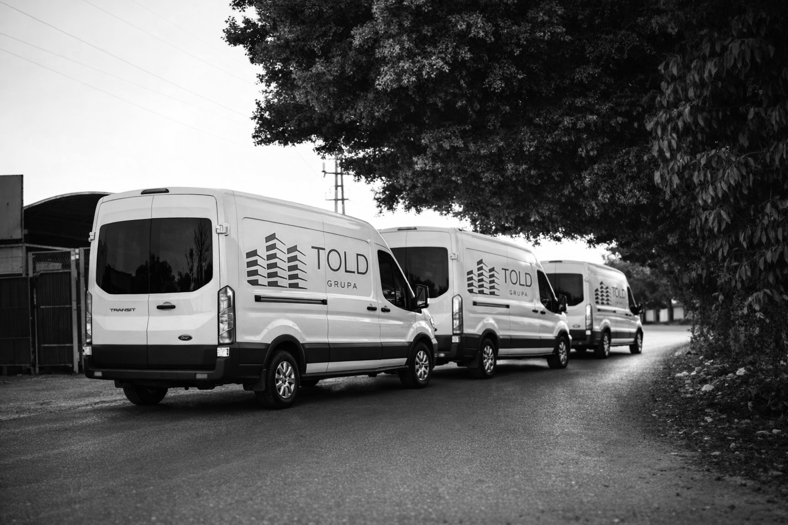 Three white delivery vans with 'TOLD GRUPA' logo parked in a row under a large tree on a street.