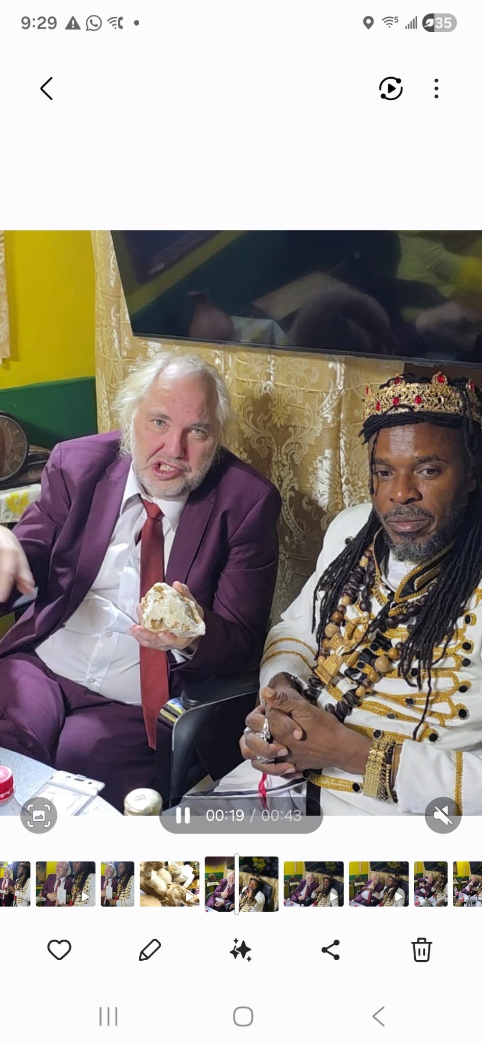Professor Robert and Jamaican Emperor
