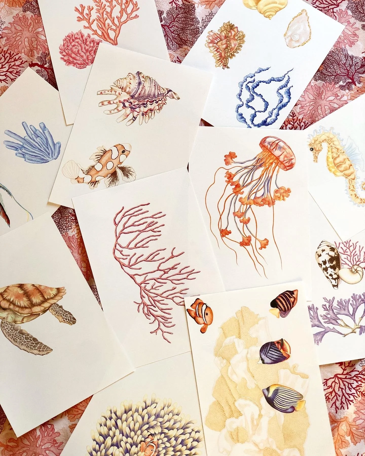 Koré Collection Spring/Summer 2025