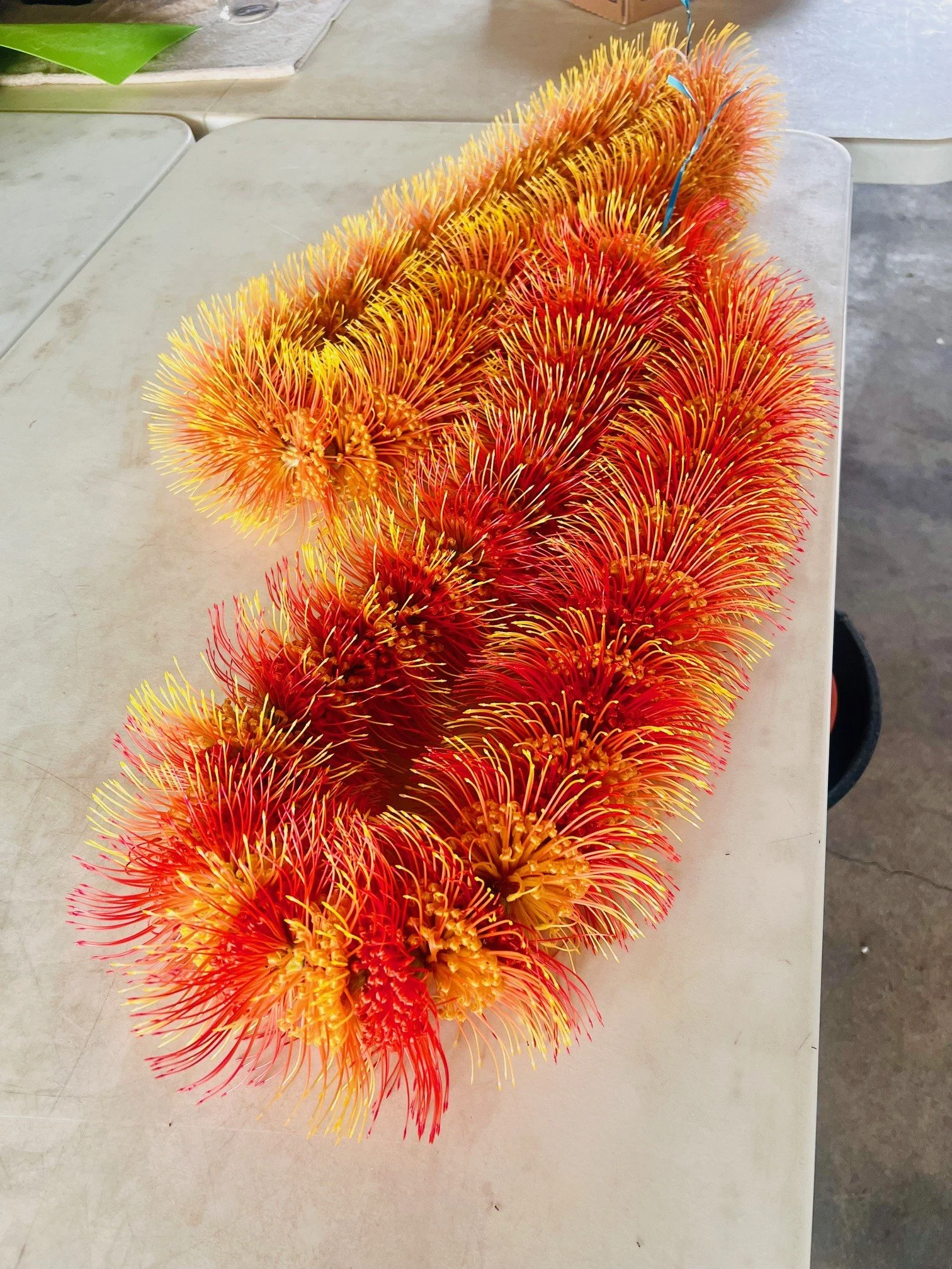 9e2a9eb7-5439-4406-9b6a-bd969dd384aa (1).jpg