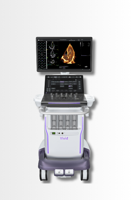 Vivid Pioneer 4D