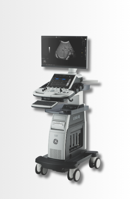 LOGIQ P8