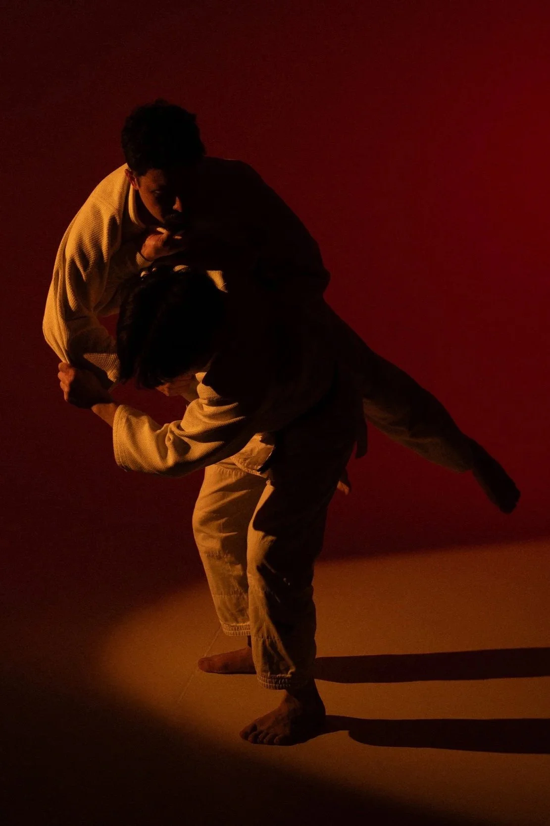 Memoirs+of+Japan+_+Daniel+Carminati-71.jpg