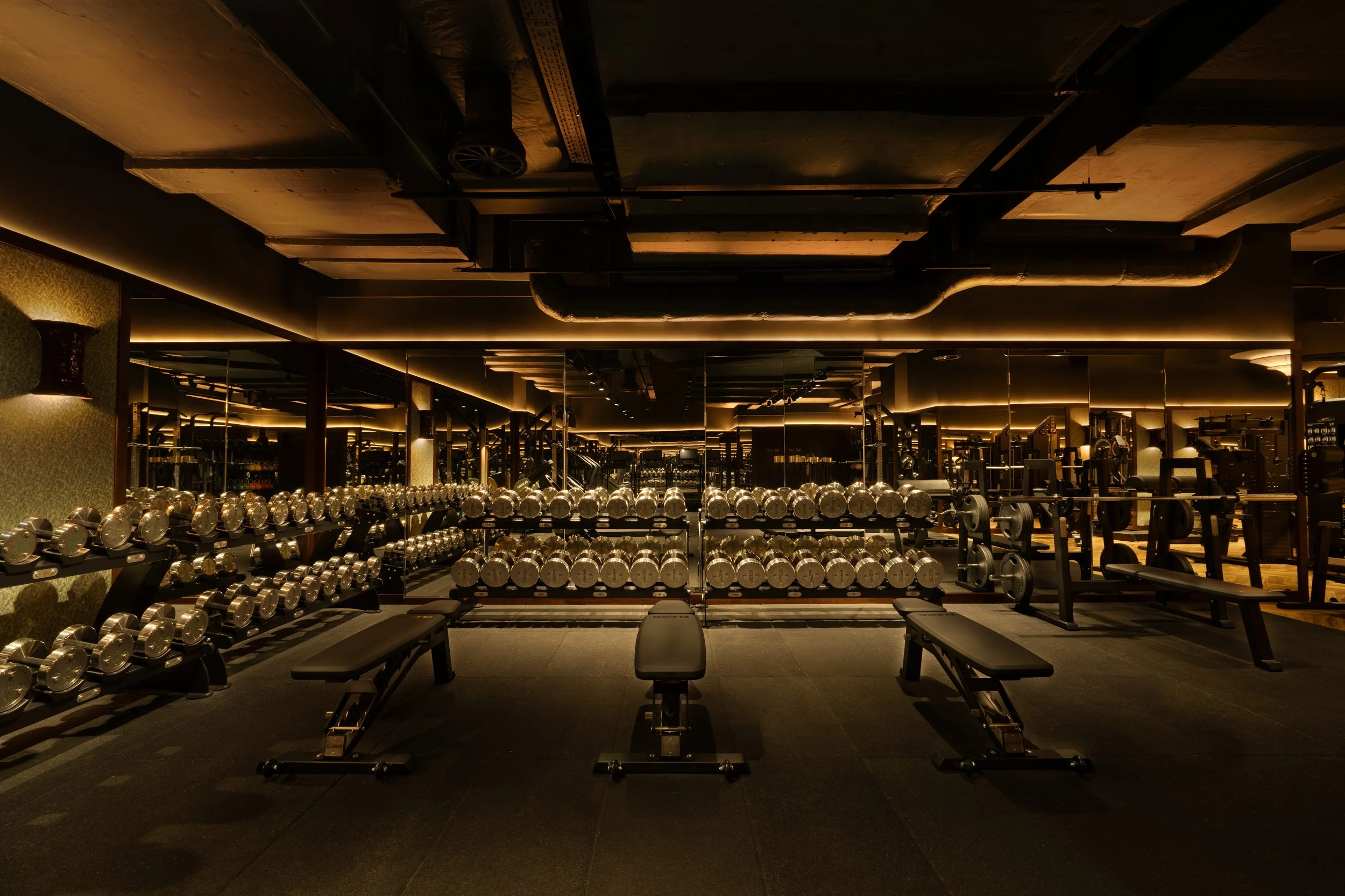 TrampHealth_DanielCarminati-3.jpg