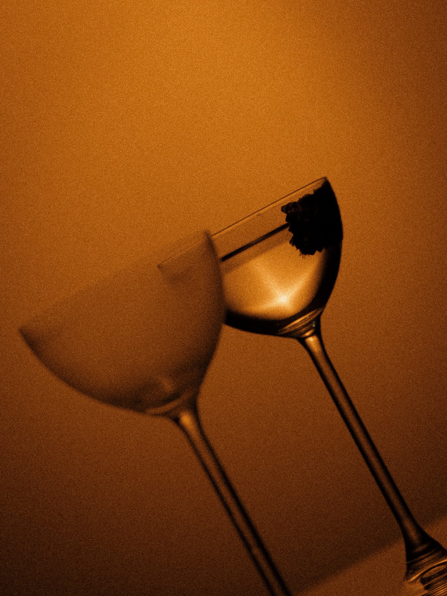 DAC04423-Duplicate.jpg
