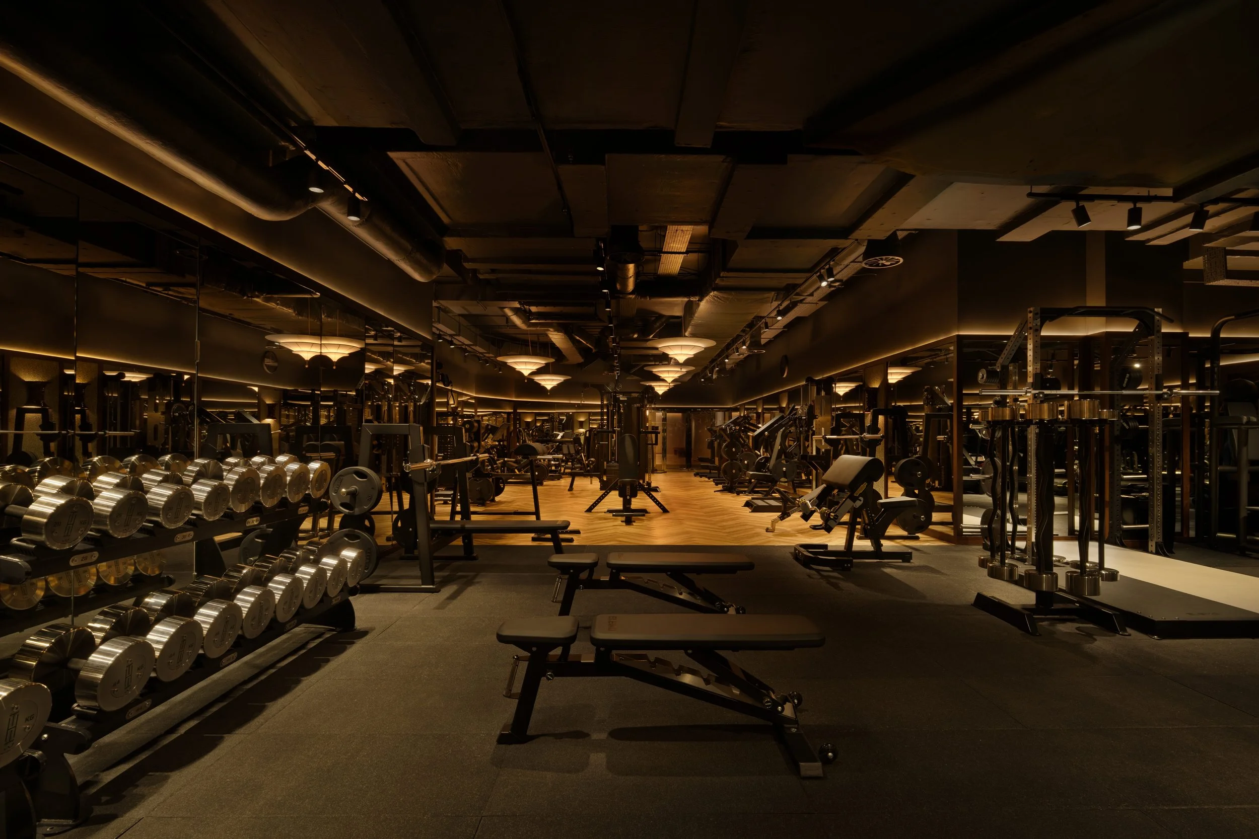 TrampHealth_DanielCarminati-1.jpg