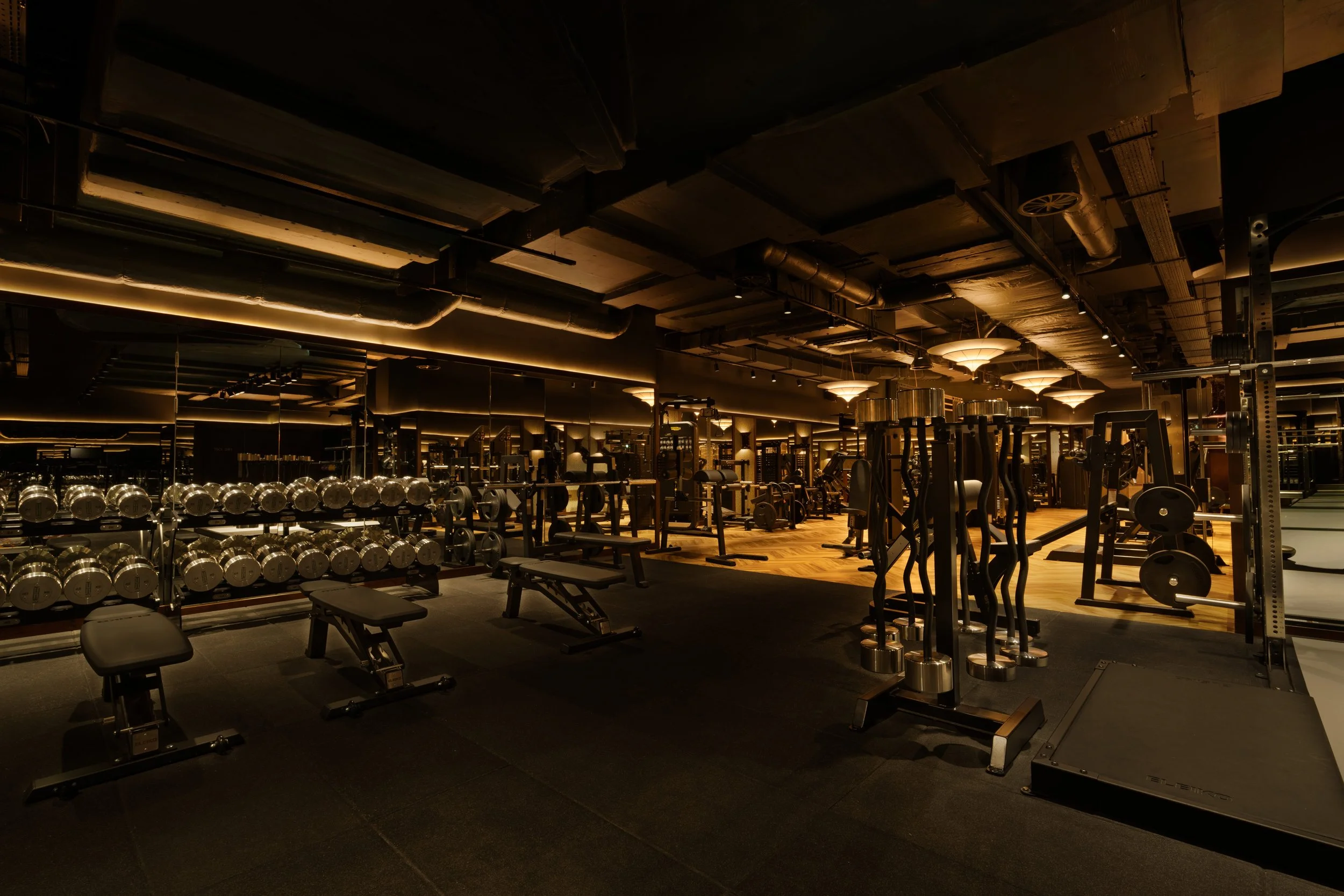 TrampHealth_DanielCarminati-2.jpg