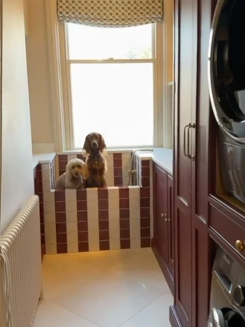 Perhaps my favourite client update to date! 🐾 Here's a peak at the boot room and dog wash at a little project I worked on in Cheltenham and just look how stunning it has turned out! 

Plus a quick look at the kitchen scheme too, can't wait to see ho