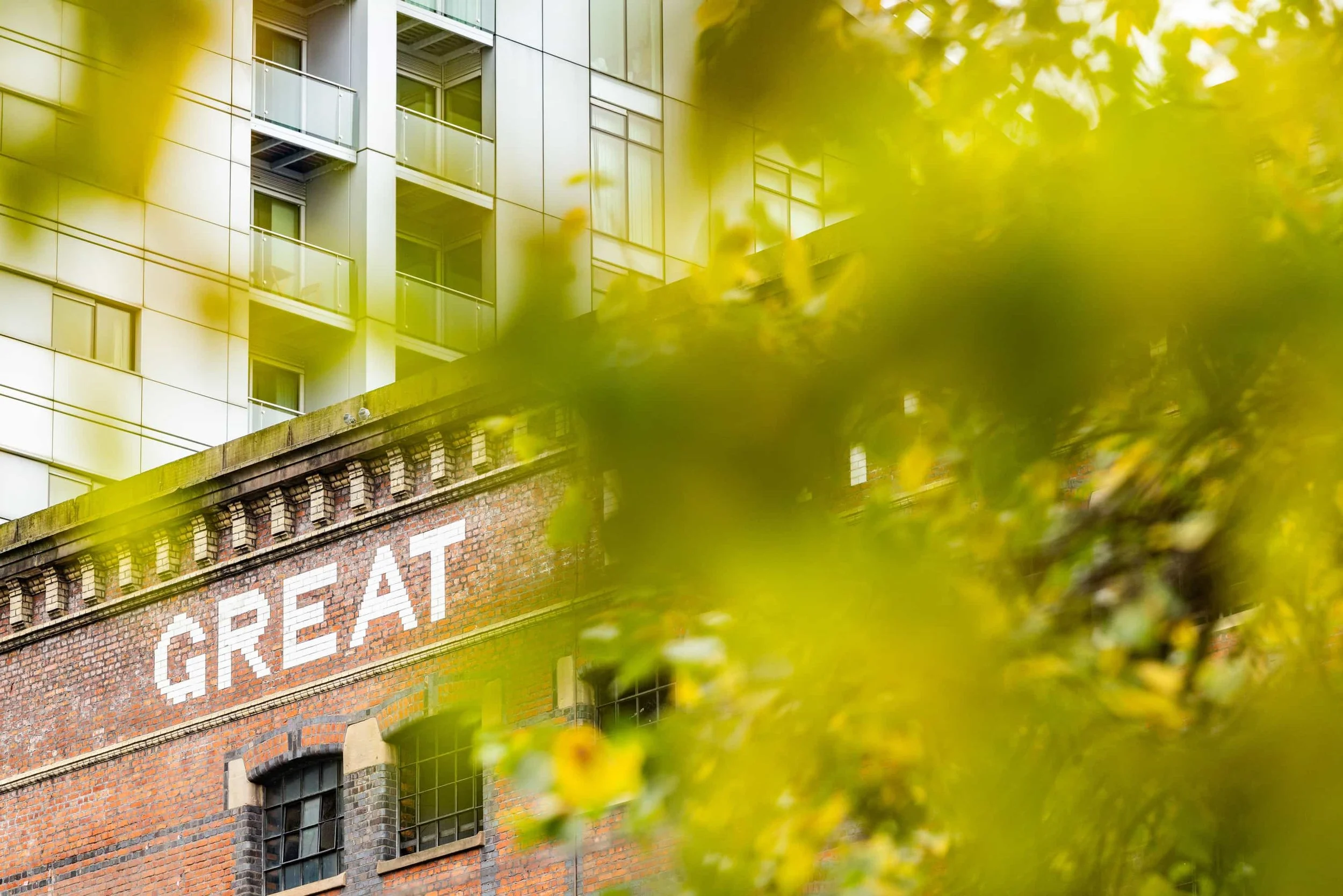 An urban scene with a brick building displaying the word 'GREAT' in white letters, partially obscured by green leaves in the foreground, and a modern apartment building in the background.