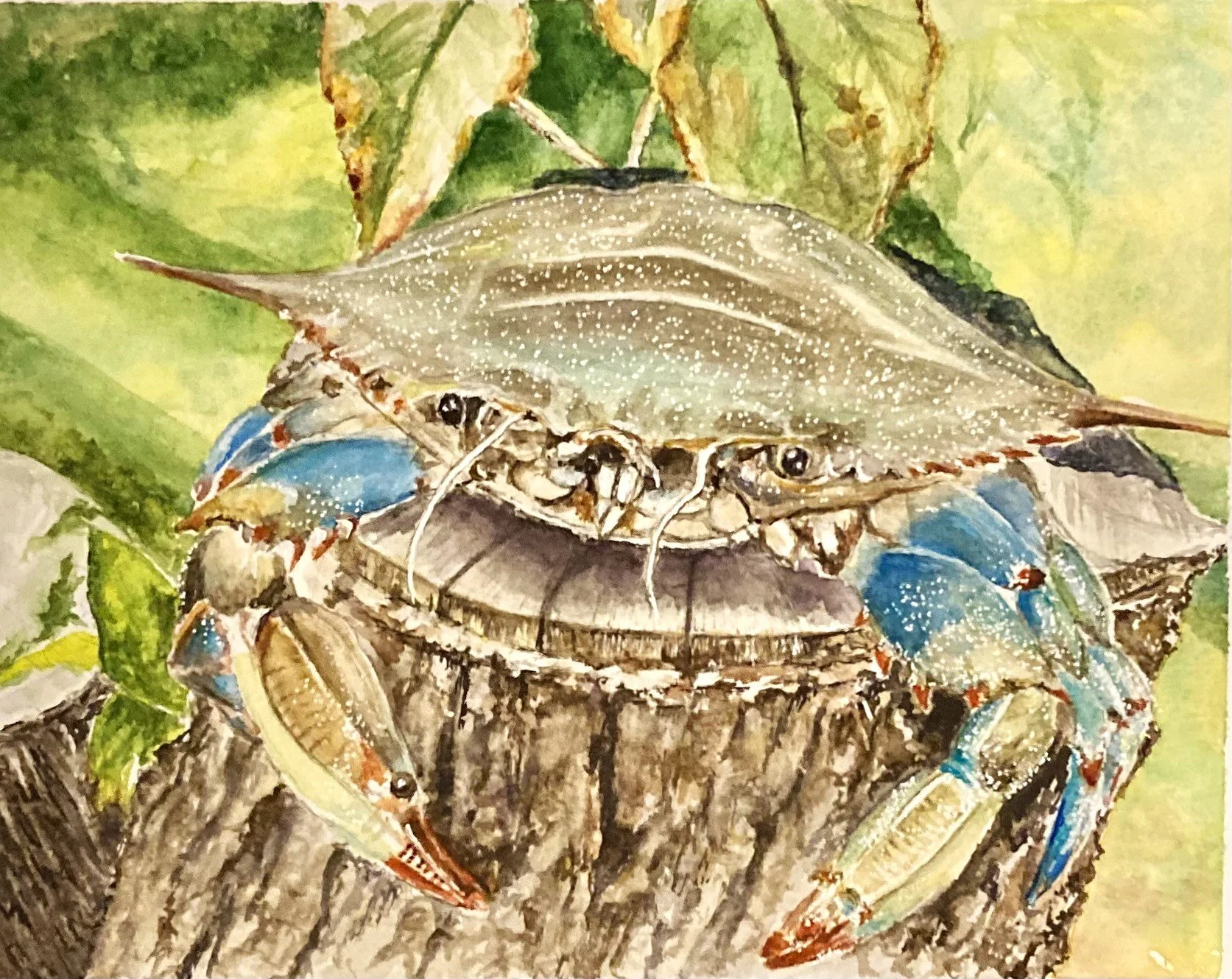 Blue Crab