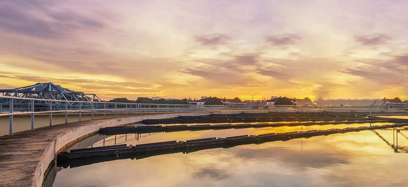 View of a water plant