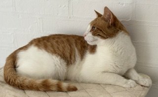 IMG_0675.jpeg