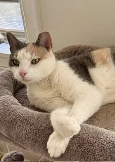 IMG_3149 (1).jpeg