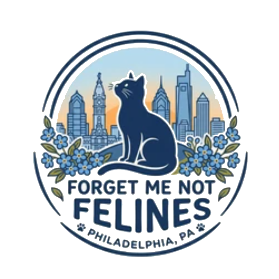 Forget Me Not Felines