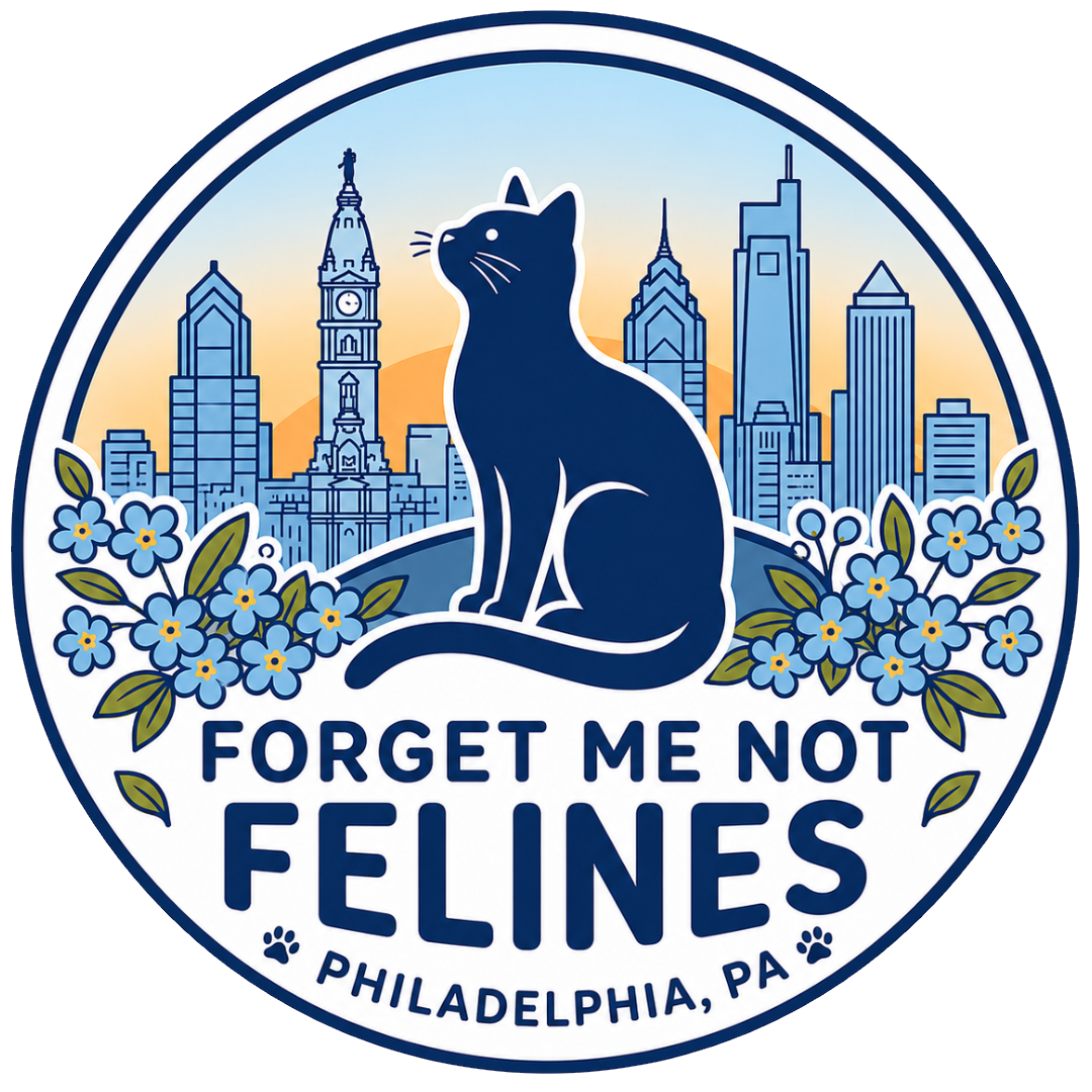Forget Me Not Felines