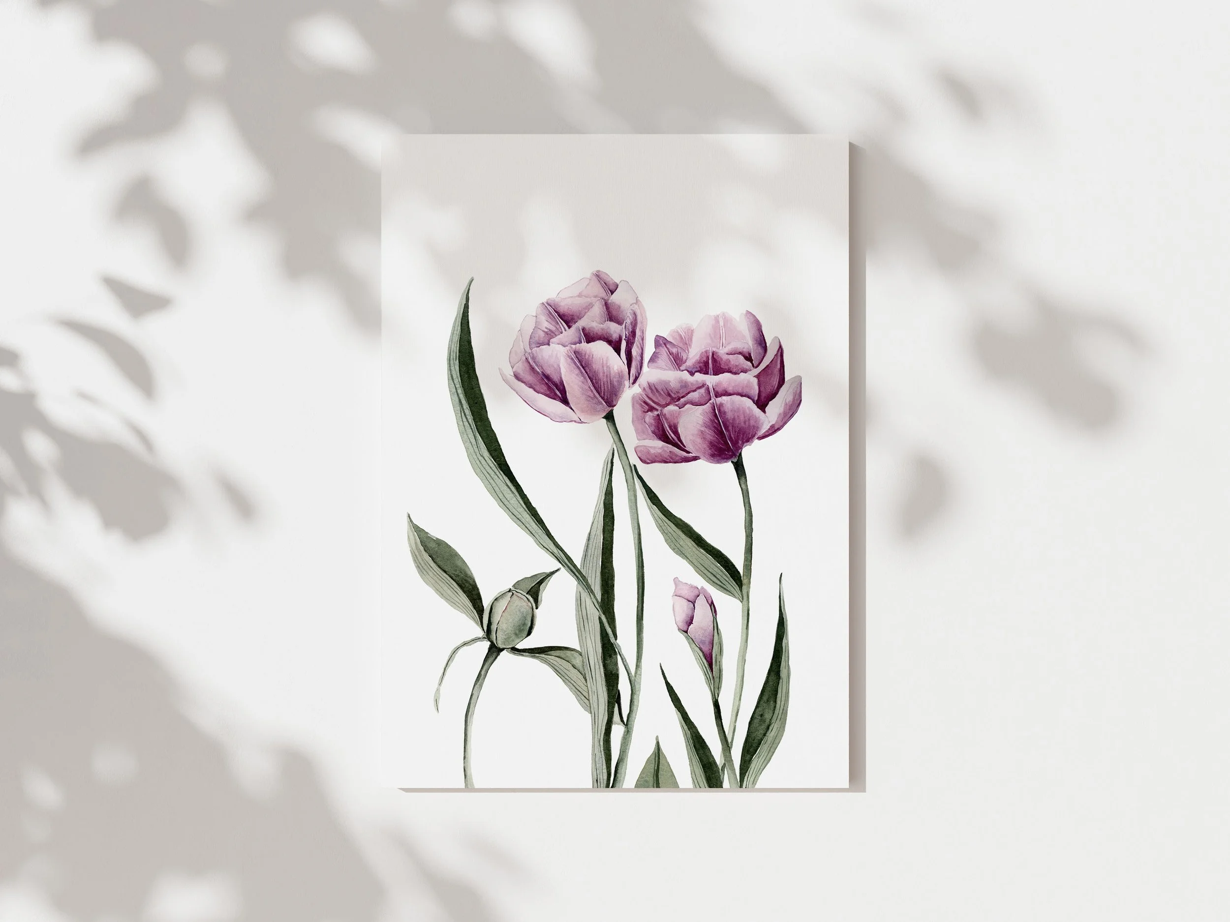 Pink Tulip- Art Print 8"x10"