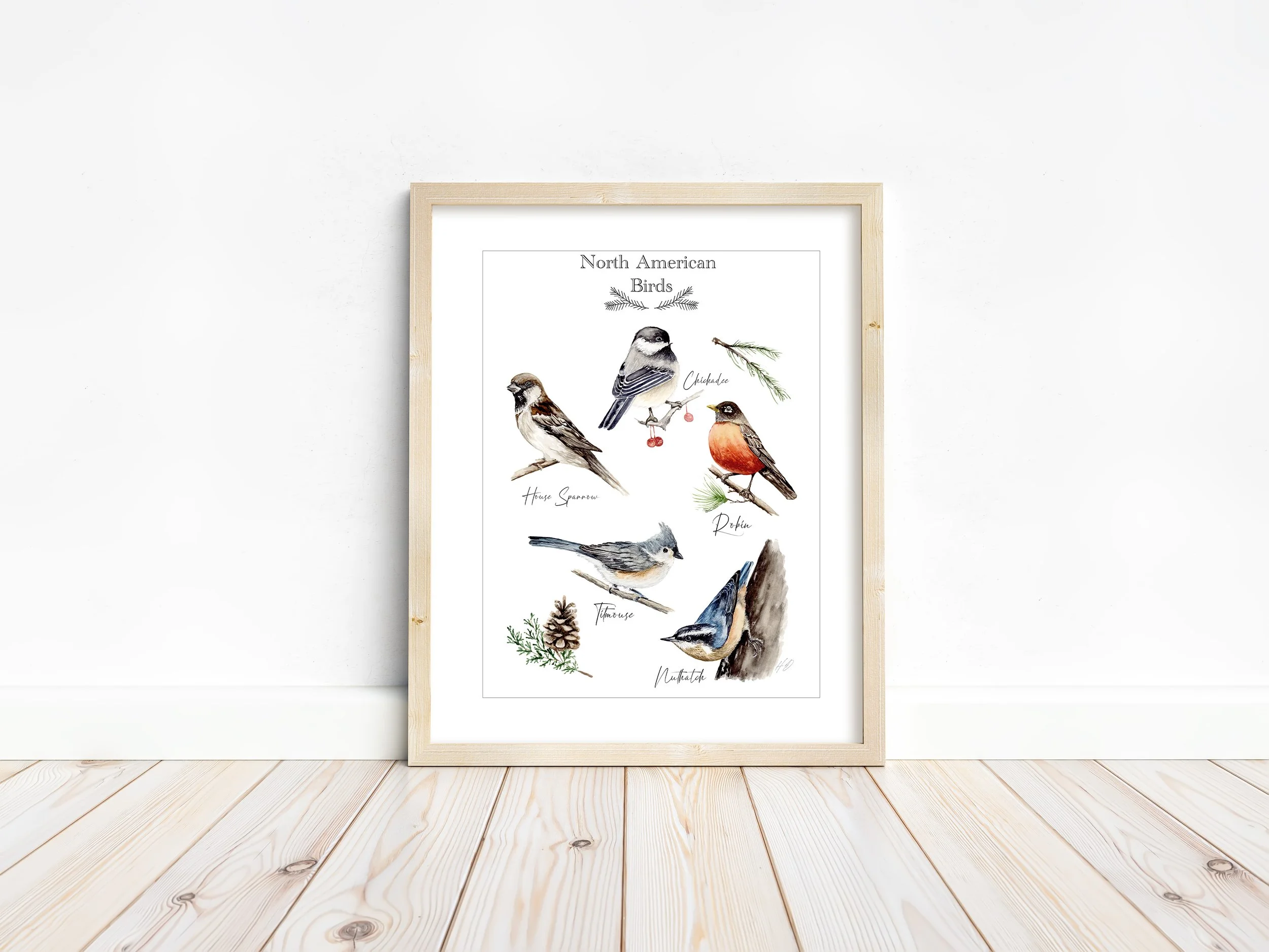 North American Bird Chart- Art Print