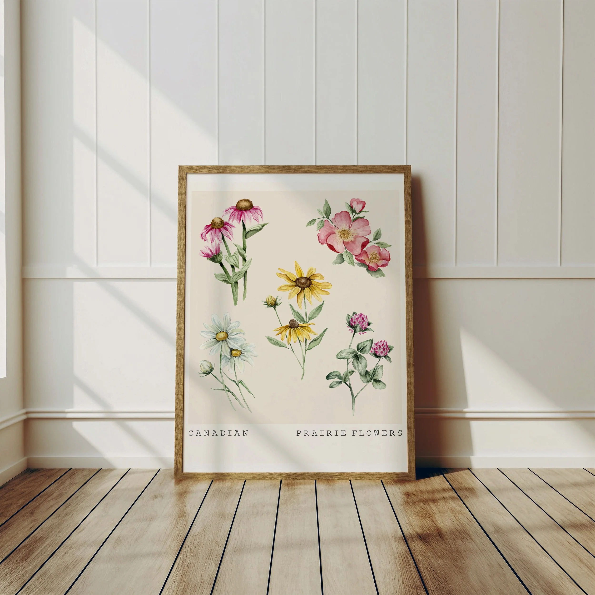 Canadian Prairie Flowers- Art Print