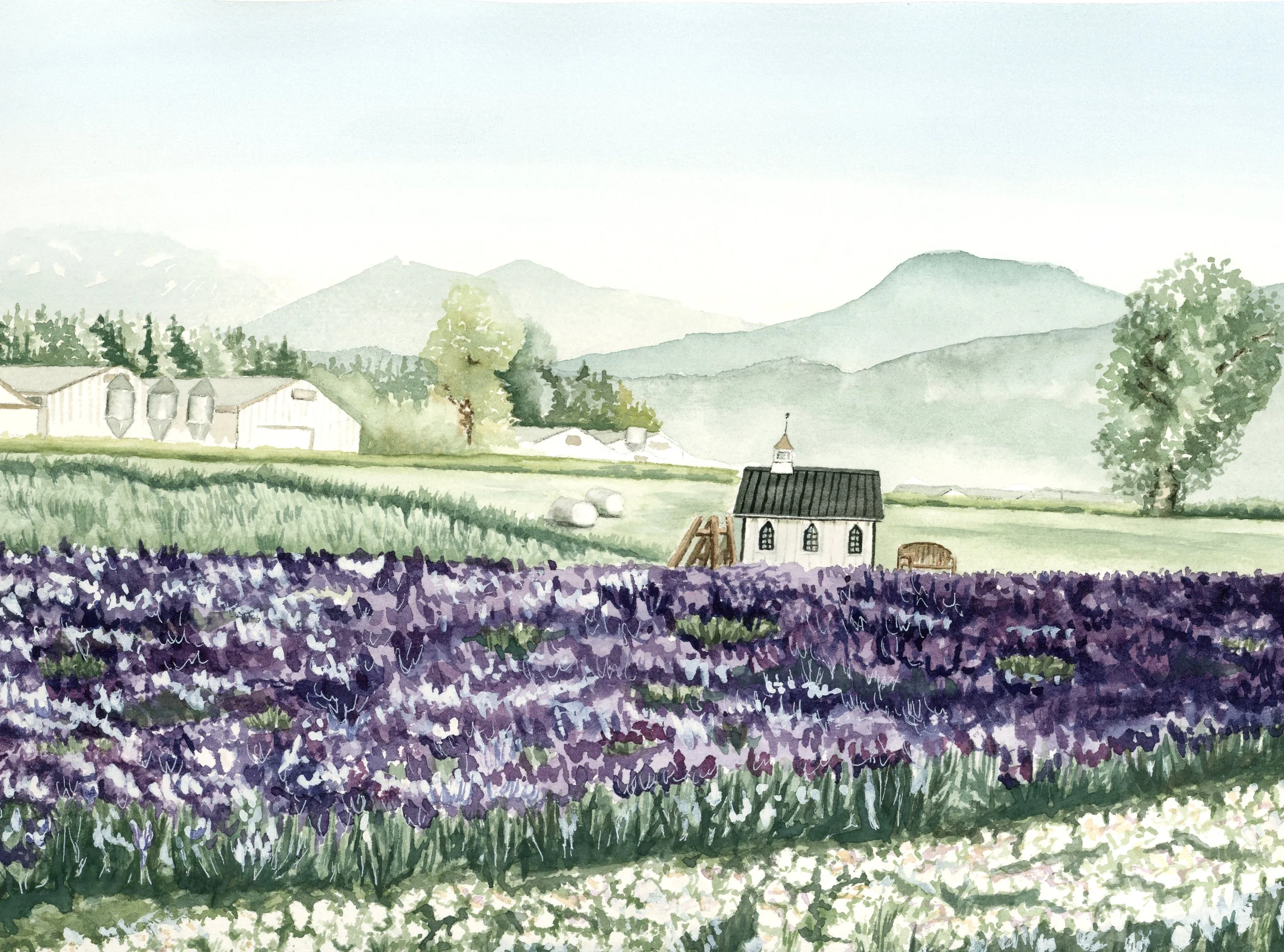 tulip festival copy.jpg