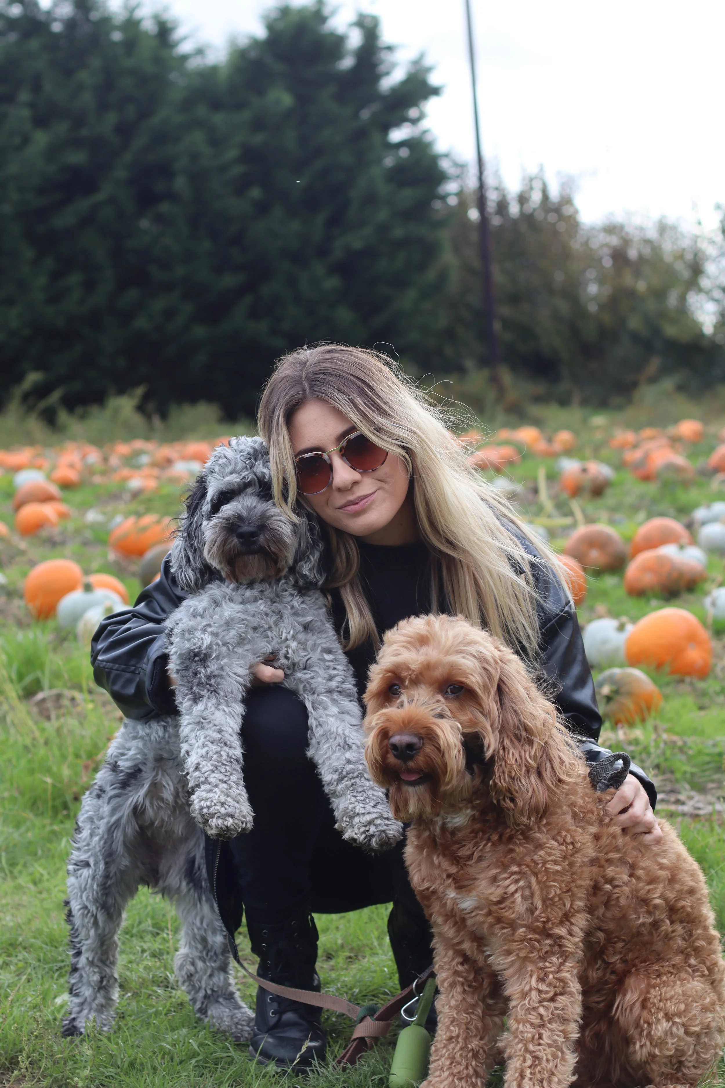 A woman with long blonde hair wearing sunglasses is holding three dogs: a gray and white curly-haired dog, an orange curly-haired dog, and a smaller brown dog. They are outdoors on a grassy area surrounded by pumpkins, with trees and a cloudy sky in the background.