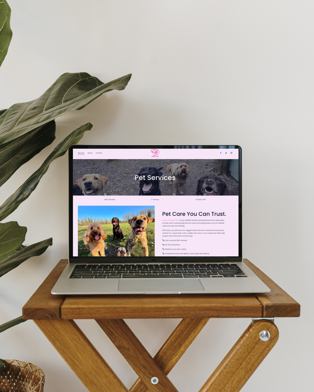 website design for dog walker. website developer for pet business. West Malling business. rover dog walking app