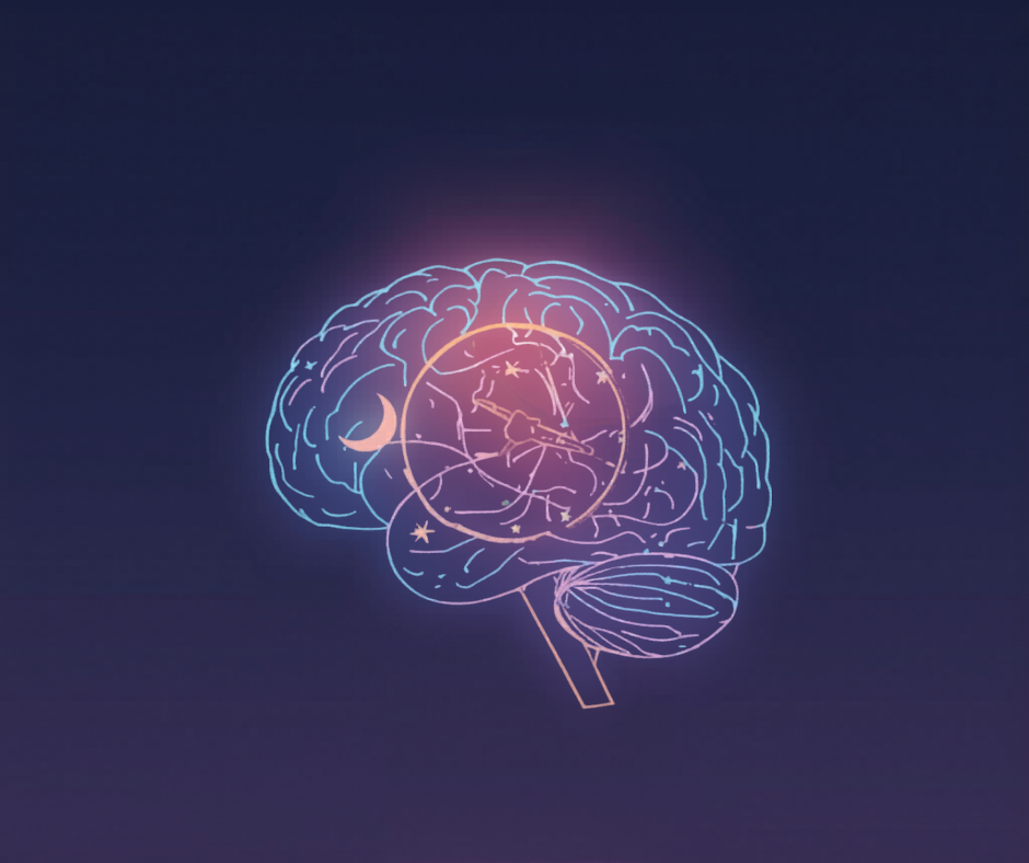 Your teenager's brain runs on a different clock