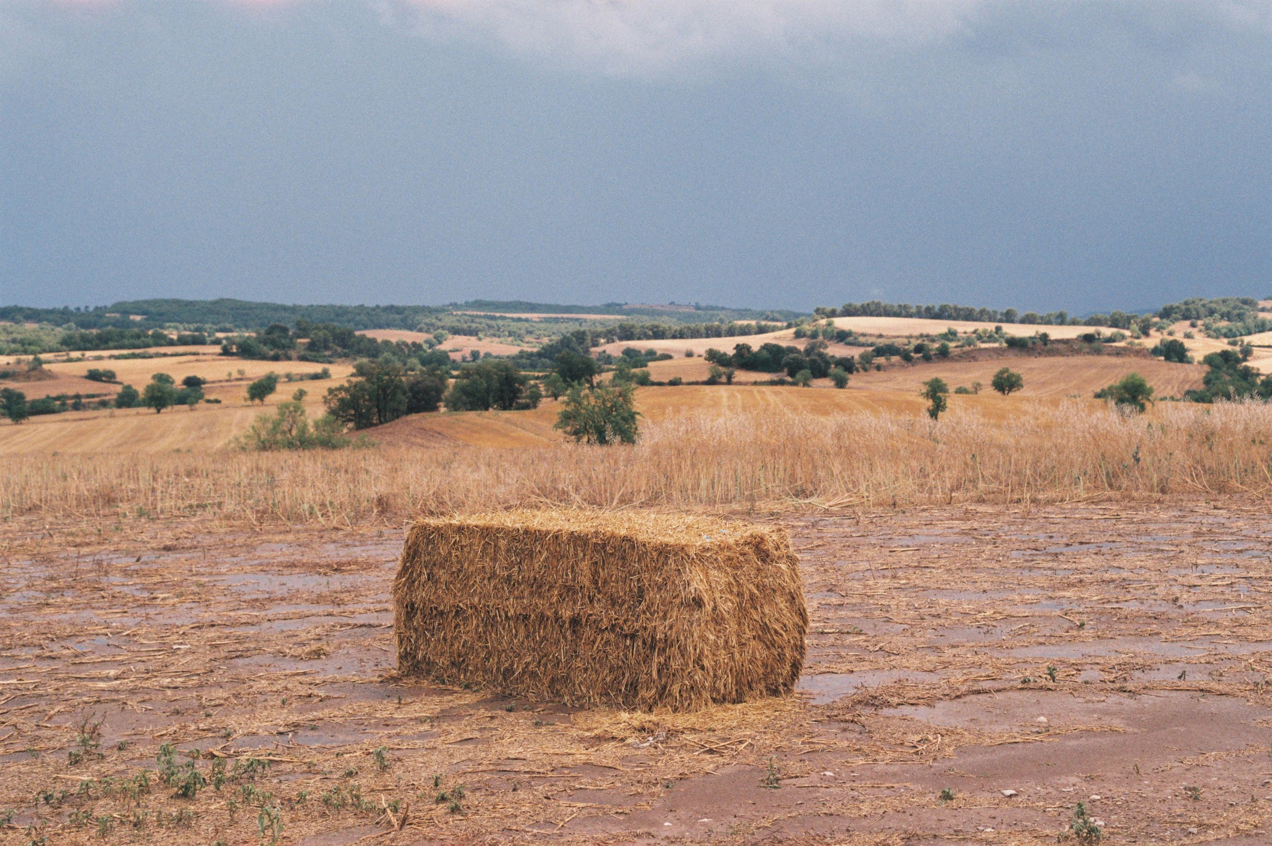JULIOL 28 ST MARTÍ.JPG