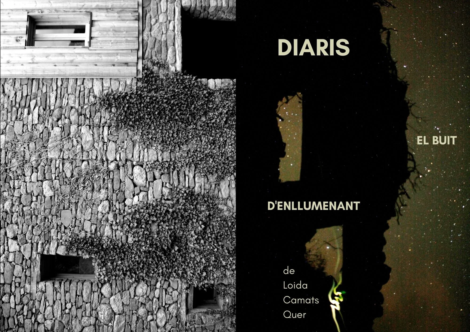 LIGHTING THE VOID. DIARIES