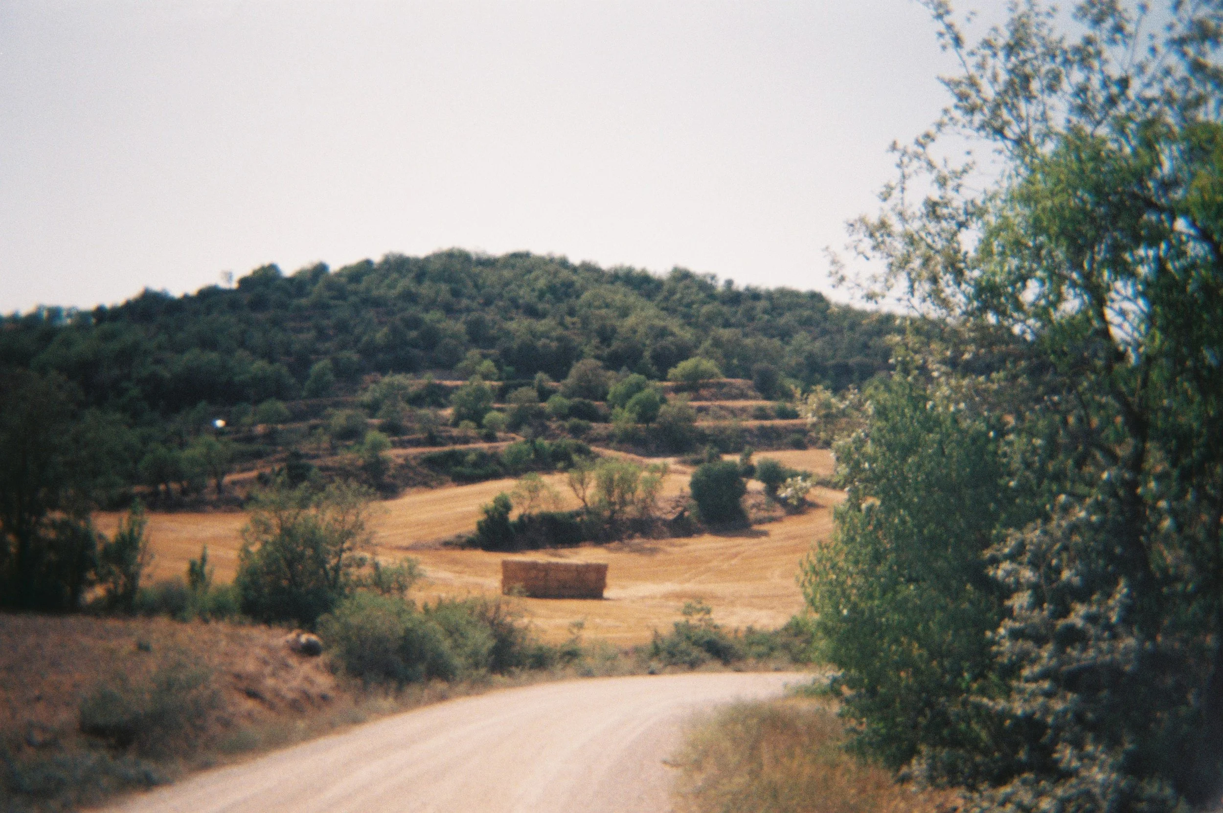 JULIOL 19 CASTELLFOLLIT 3.JPG