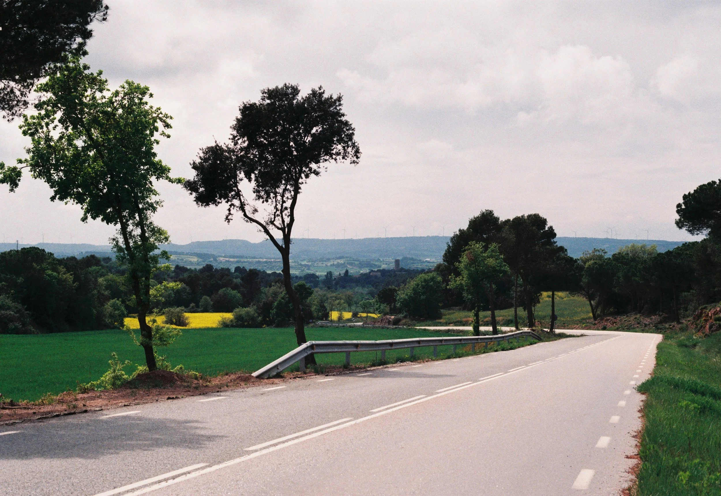 MAIG 03 MAIOLES 2.JPG