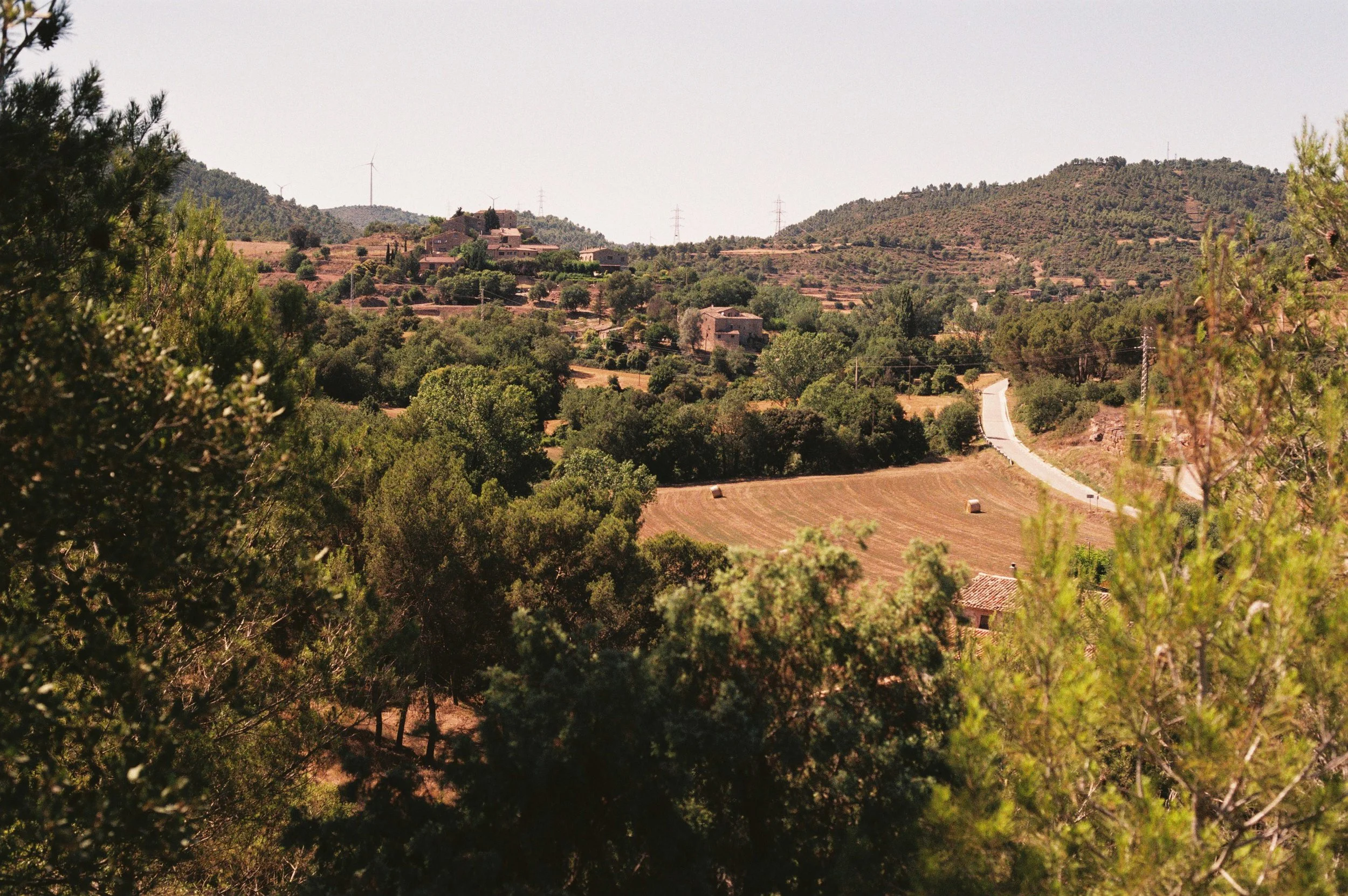 JULIOL 26 VECIANA TORRENOVA.JPG