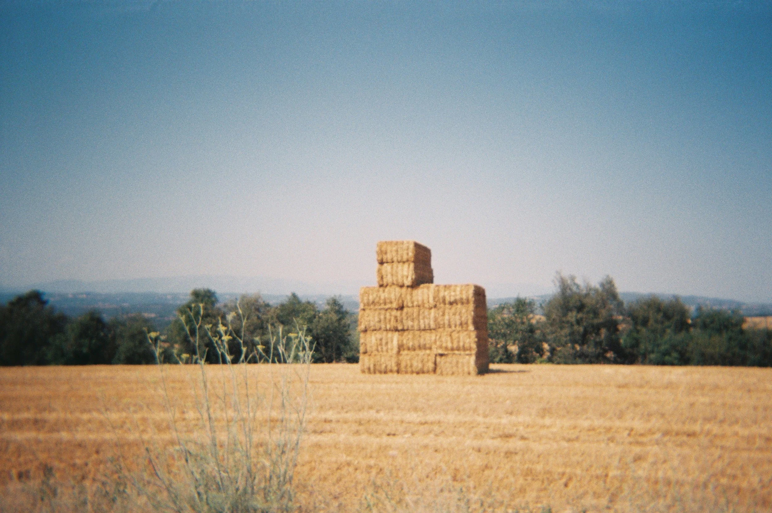 JULIOL 19 PUJALT CASTELLFOLLIT.JPG