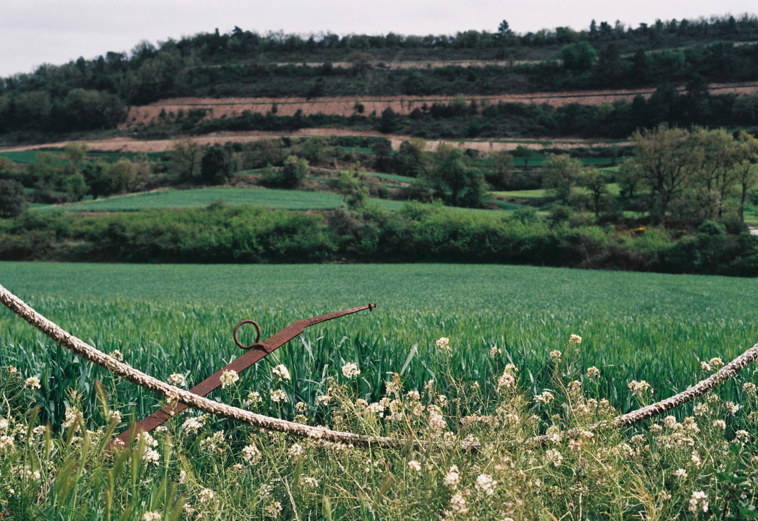 ABRIL 28 ST PESSALAÇ.JPG