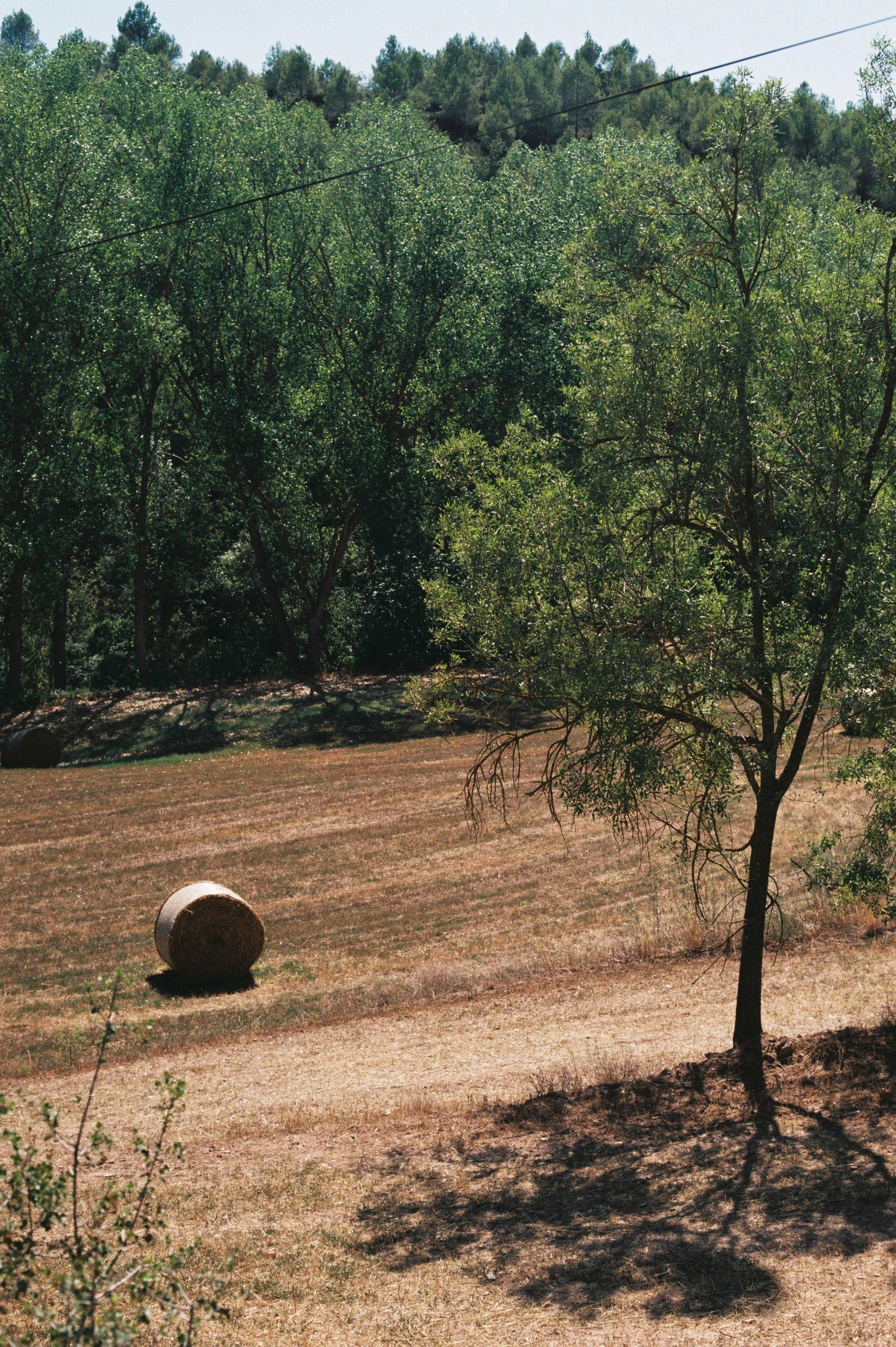 JULIOL 26 VECIANA FITEROL.JPG