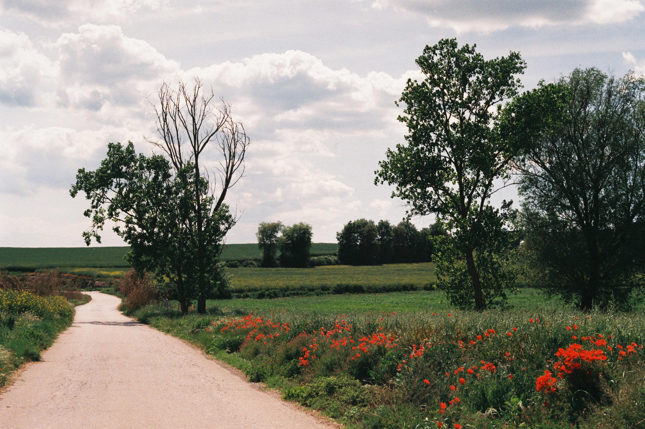 MAIG 10 PRATS DE REI.JPG