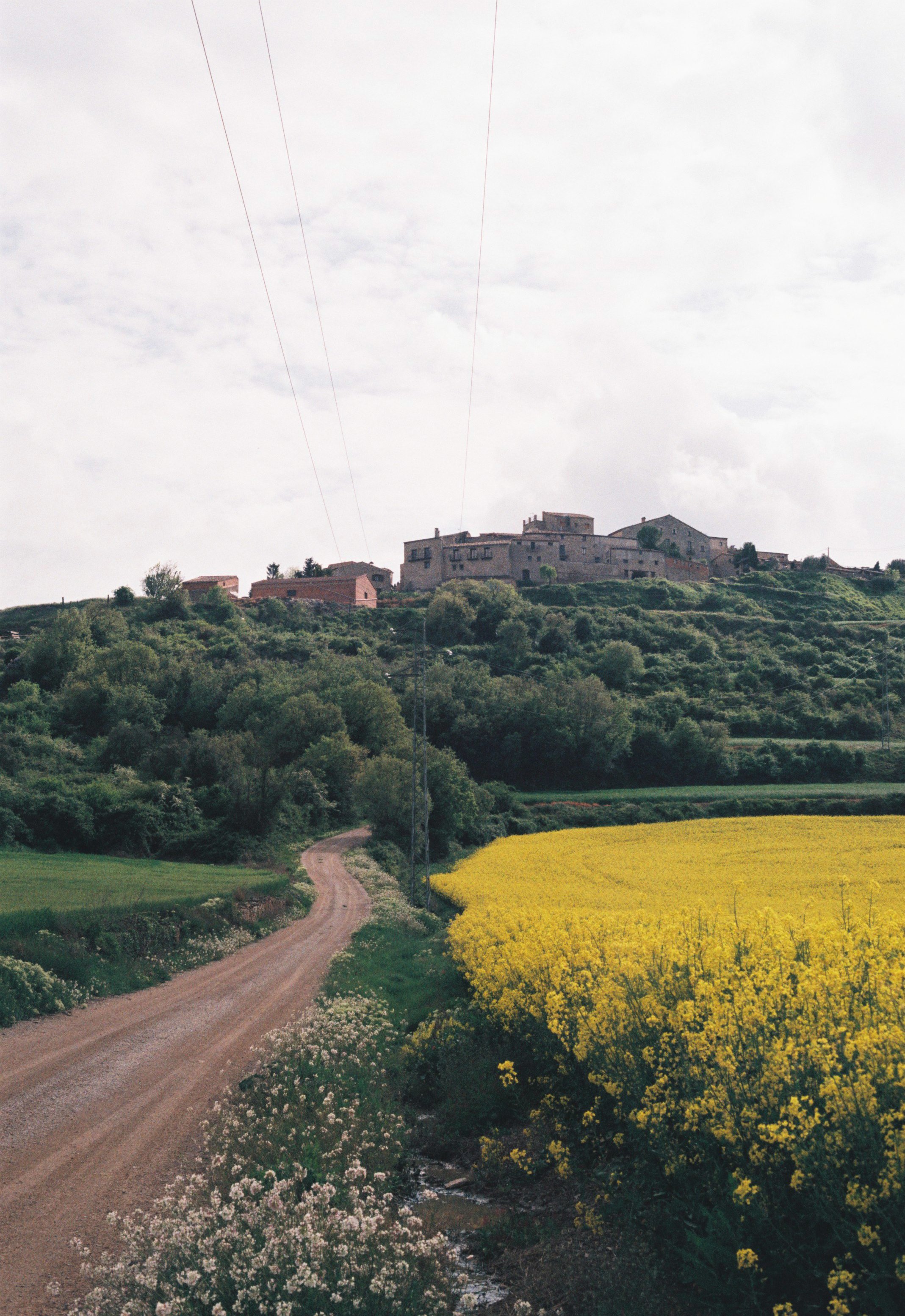 MAIG 03 CONILL 2.JPG