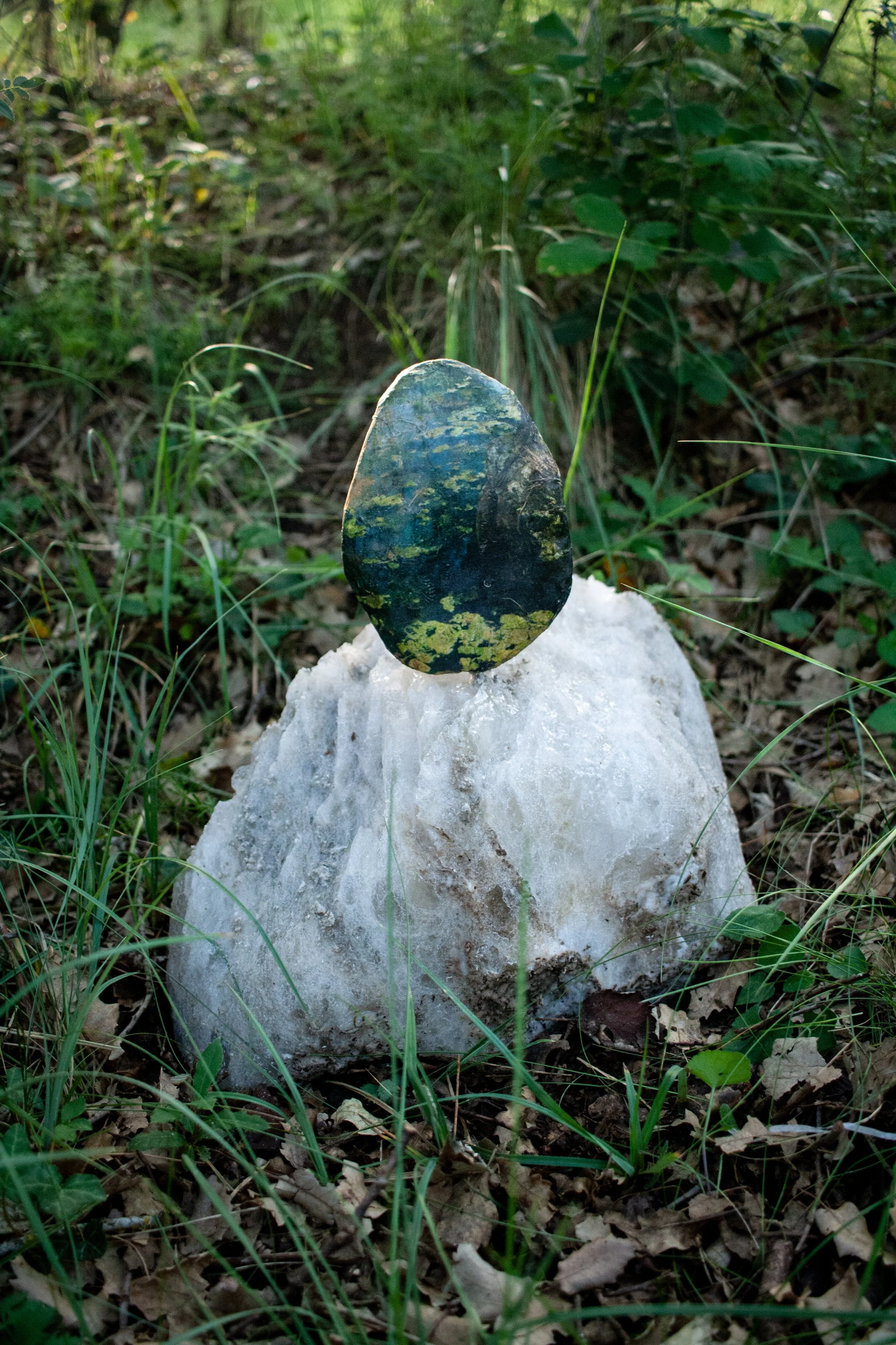 ORGANIC LANDSCAPES-2.jpg