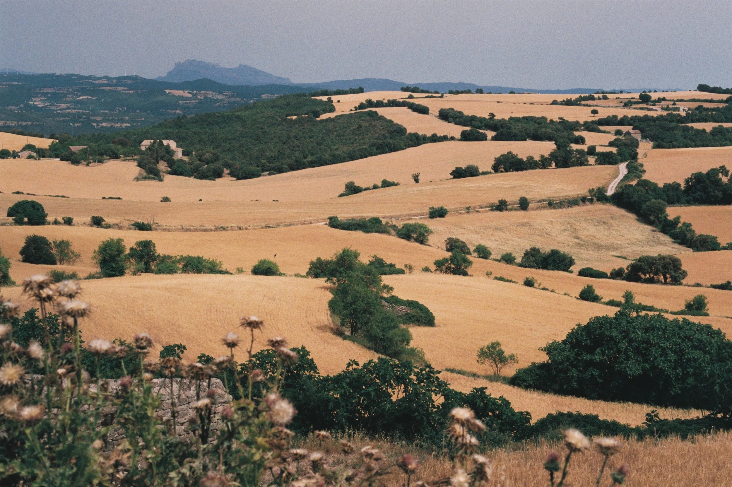 JUNY 14 MONTFALCÓ.JPG