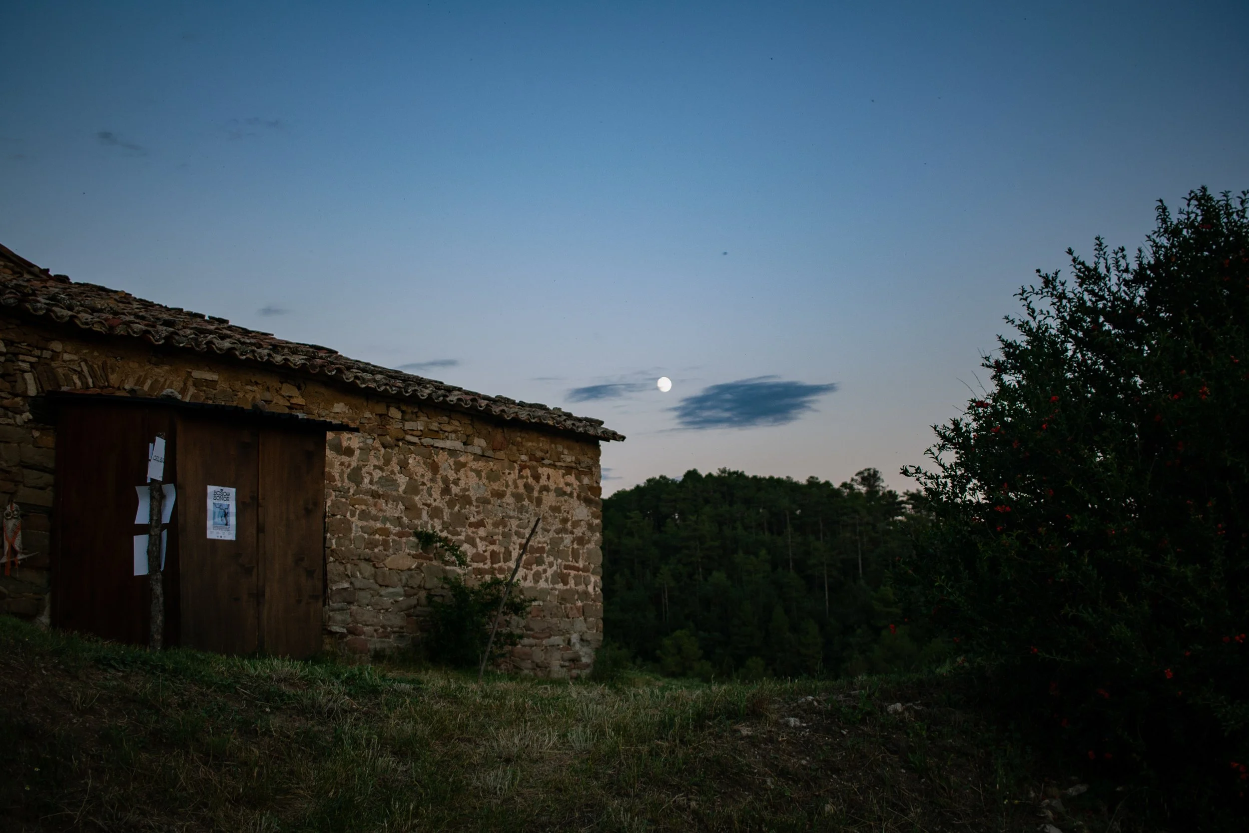 BOSC(O) SONOR-42.jpg