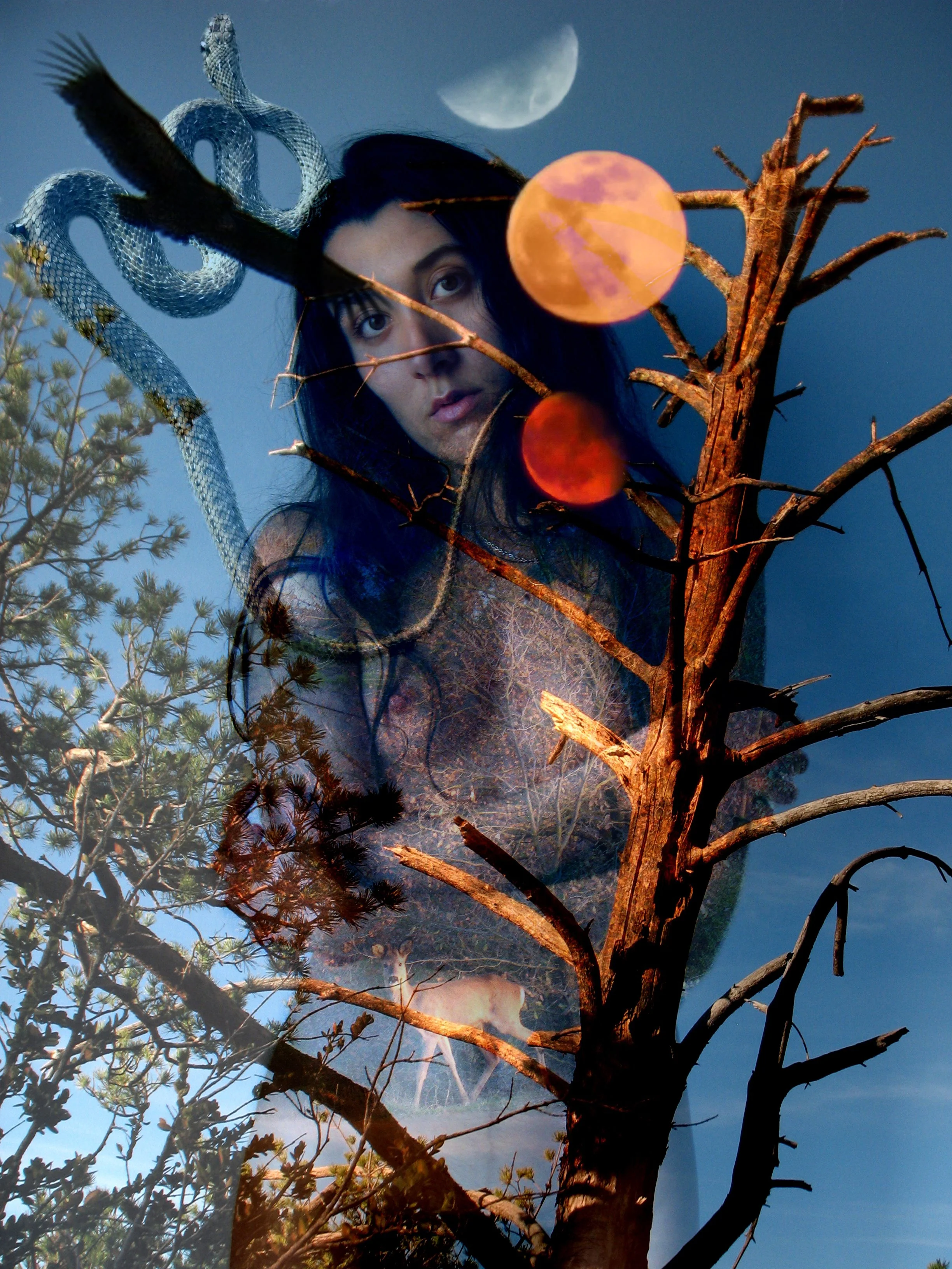 FIERA SISEA 30X40.jpg