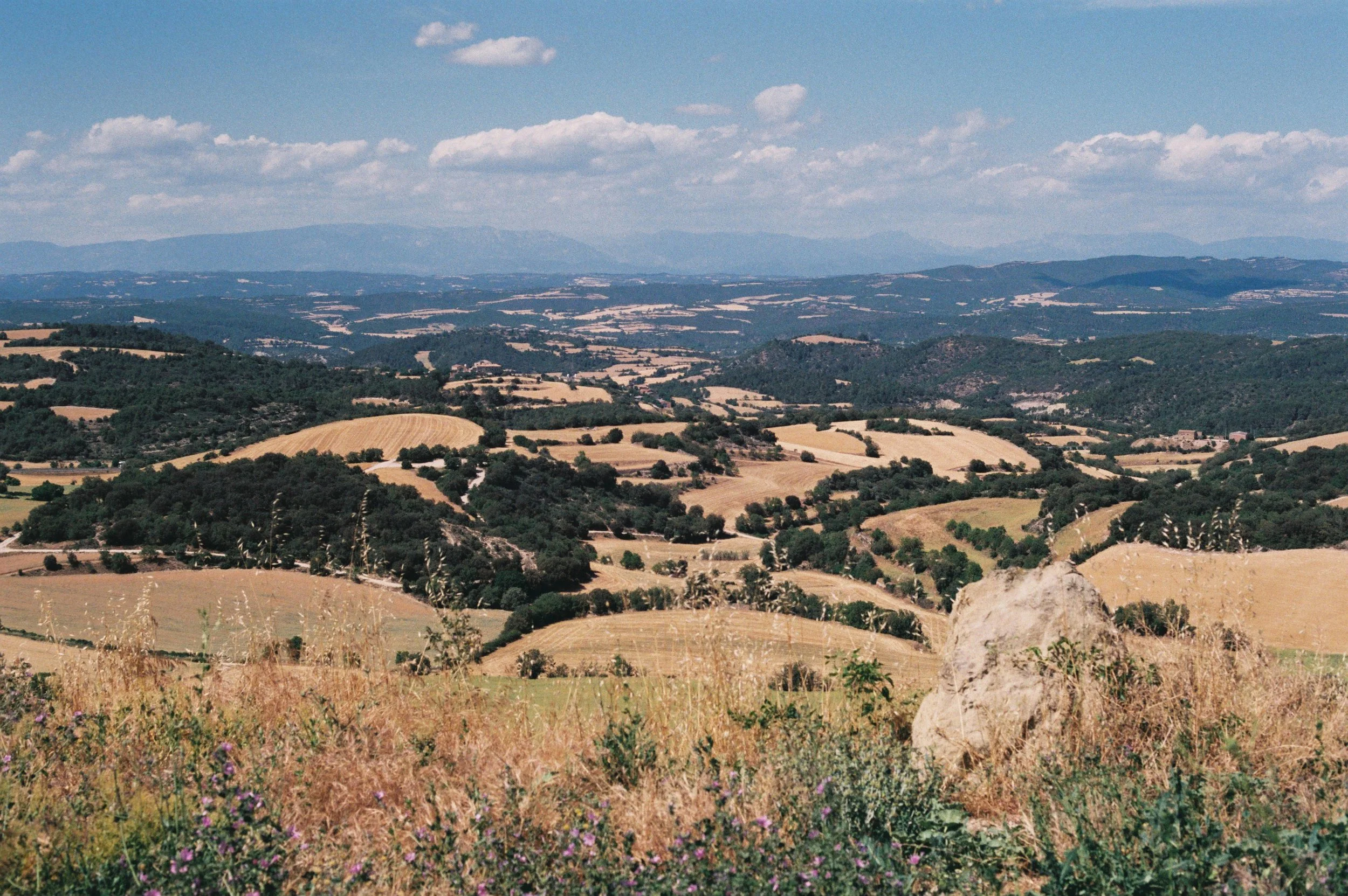 JUNY 07 CONILL 2.JPG