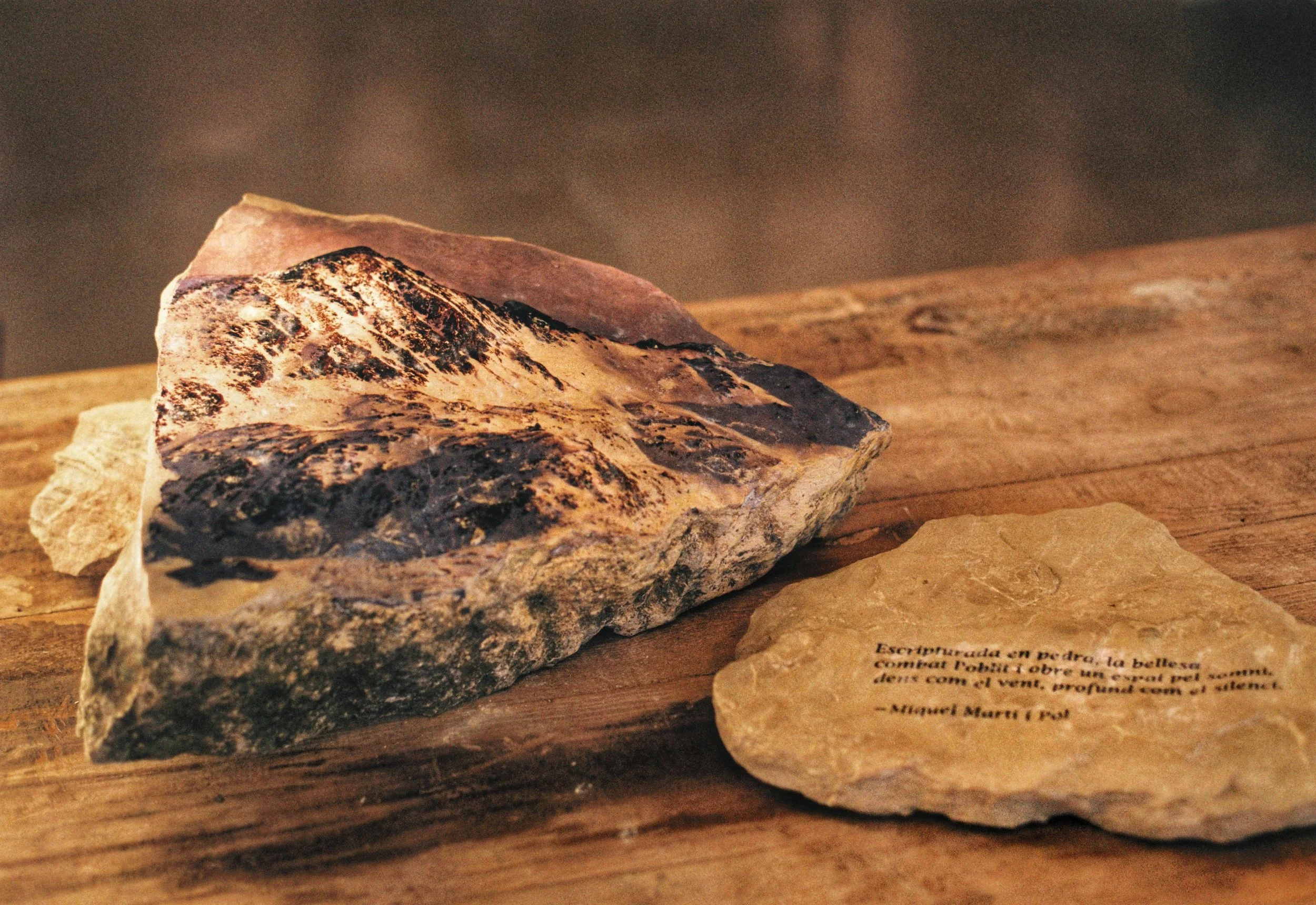 ORGANIC LANDSCAPES-1.jpeg