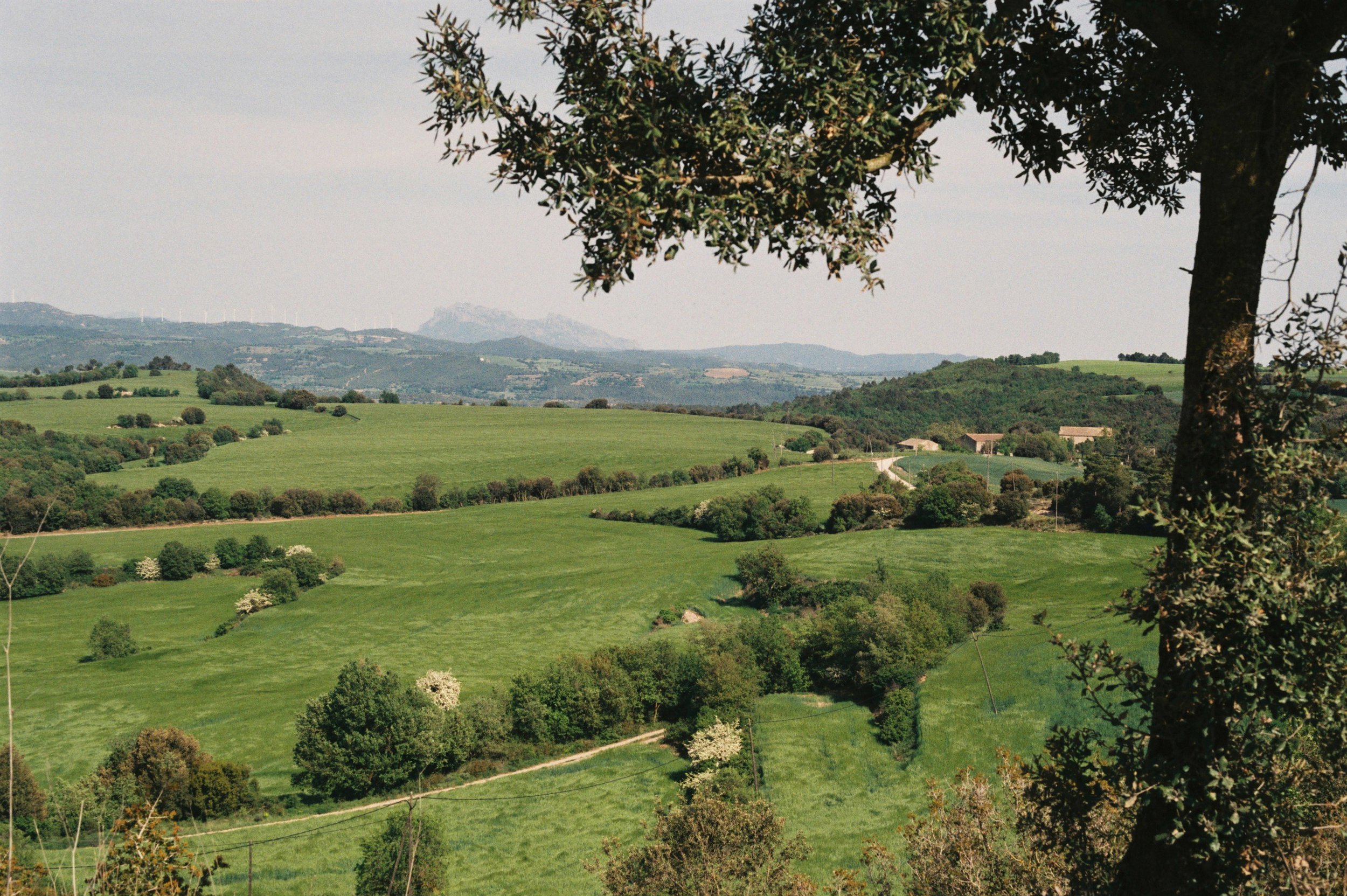 MAIG 10 MONTFALCÓ GROS.JPG